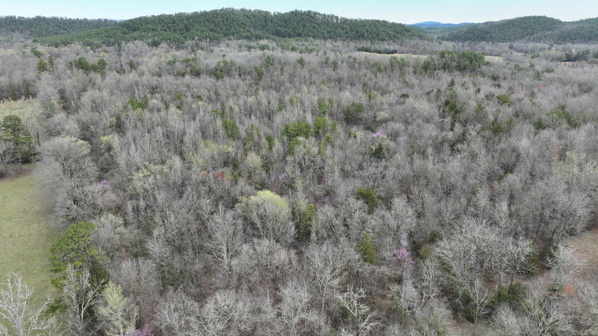 TBD  Highway 8 East  Mena, AR