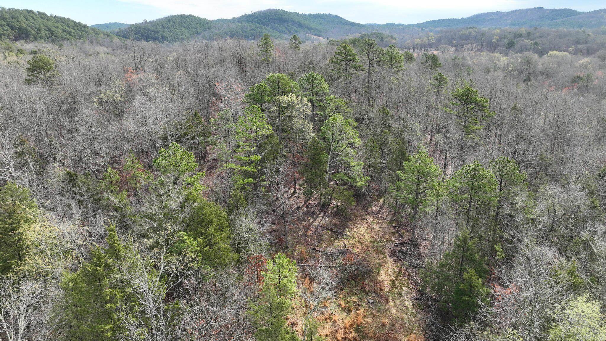 TBD  Highway 8 East  Mena, AR