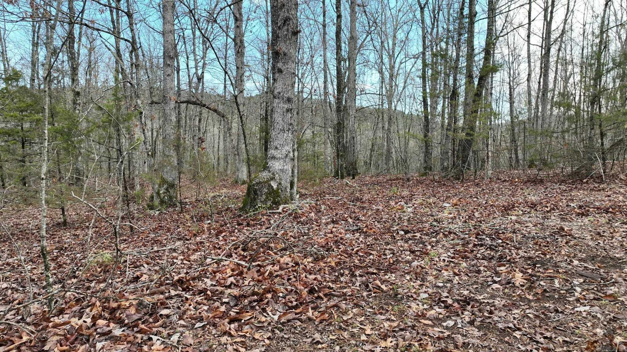 TBD  Highway 8 East  Mena, AR