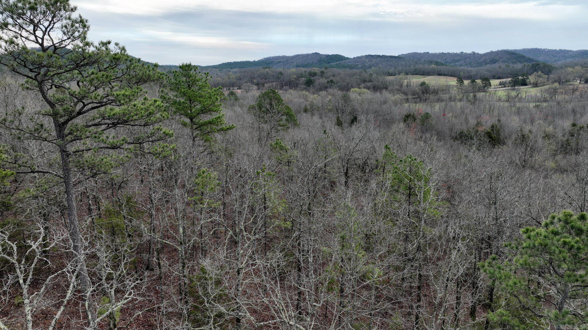 TBD  Highway 8 East  Mena, AR