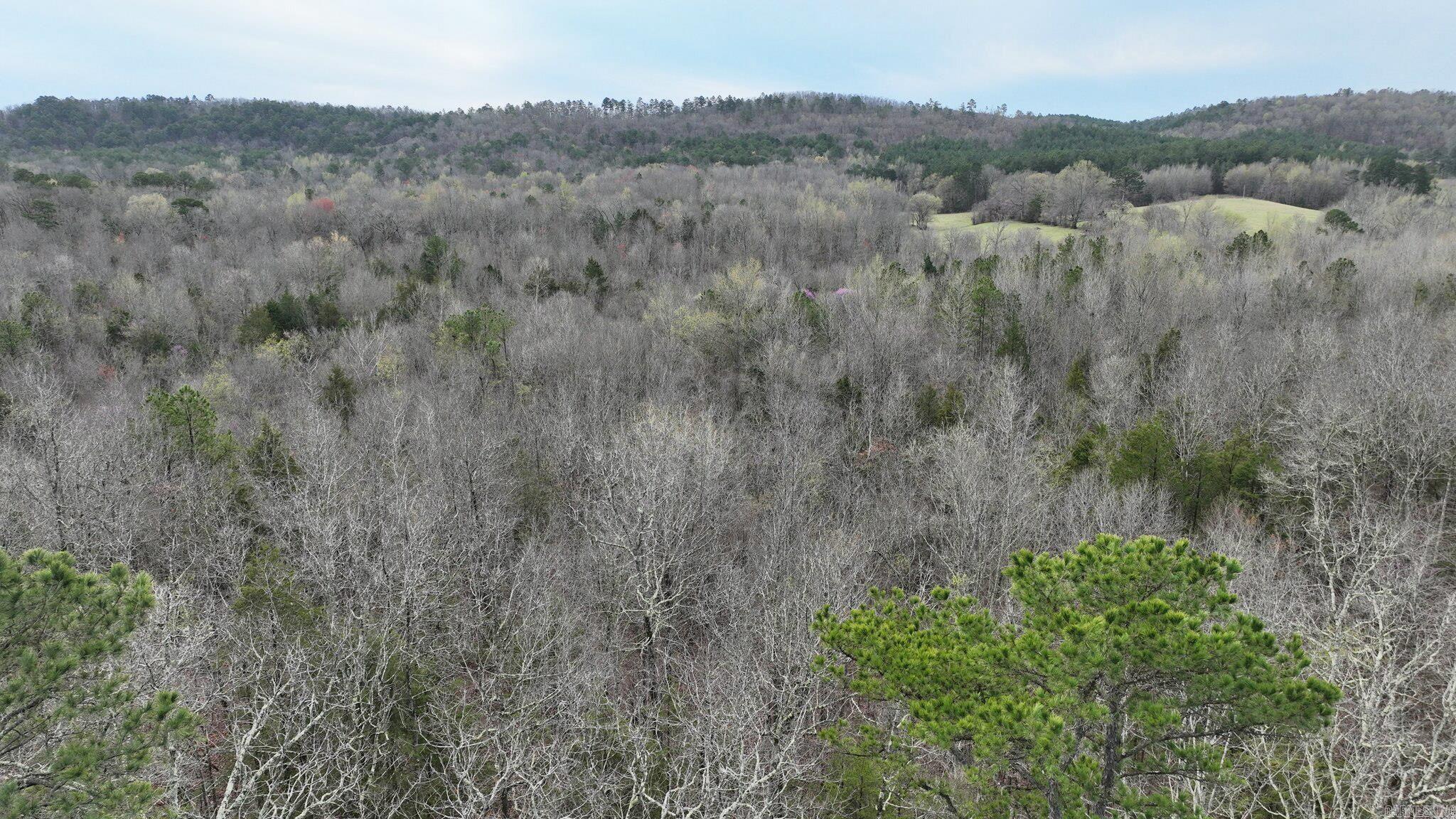 TBD  Highway 8 East  Mena, AR