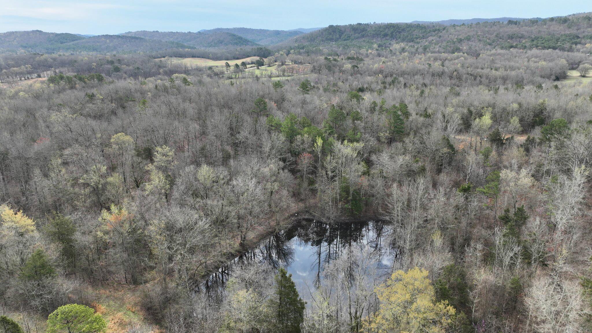 TBD  Highway 8 East  Mena, AR