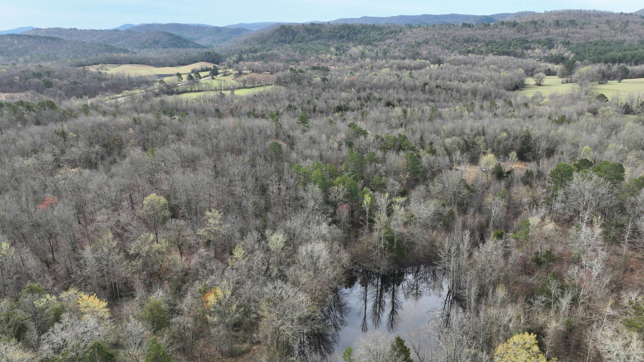 TBD  Highway 8 East  Mena, AR