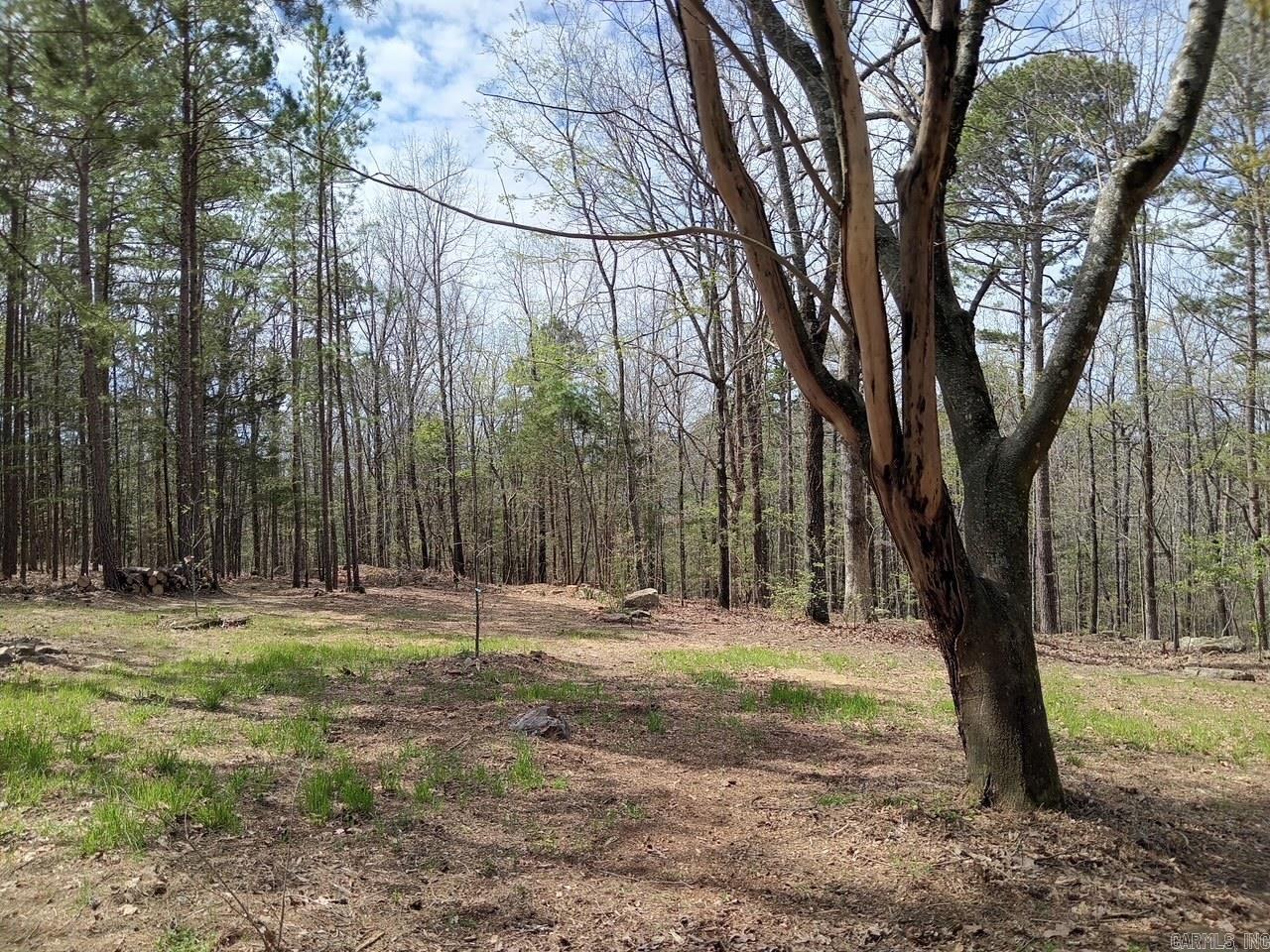 120  Branch  Greers Ferry, AR