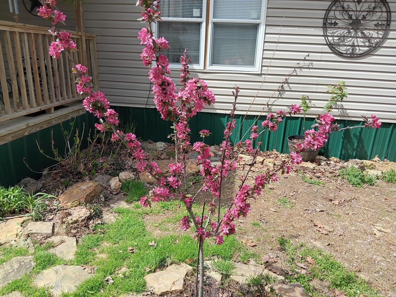 120  Branch  Greers Ferry, AR