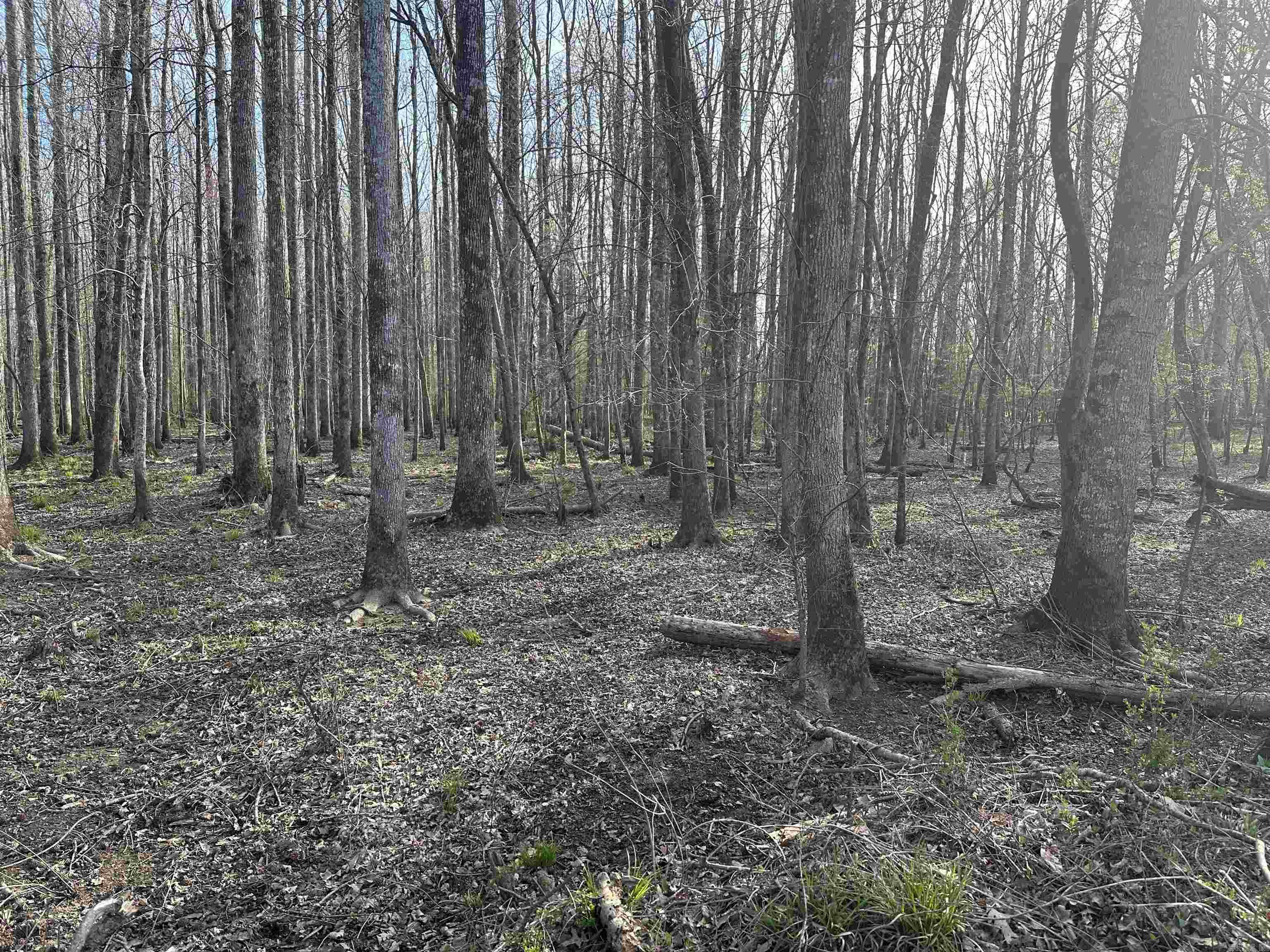 000 N Lebanon Rd  McRae, AR