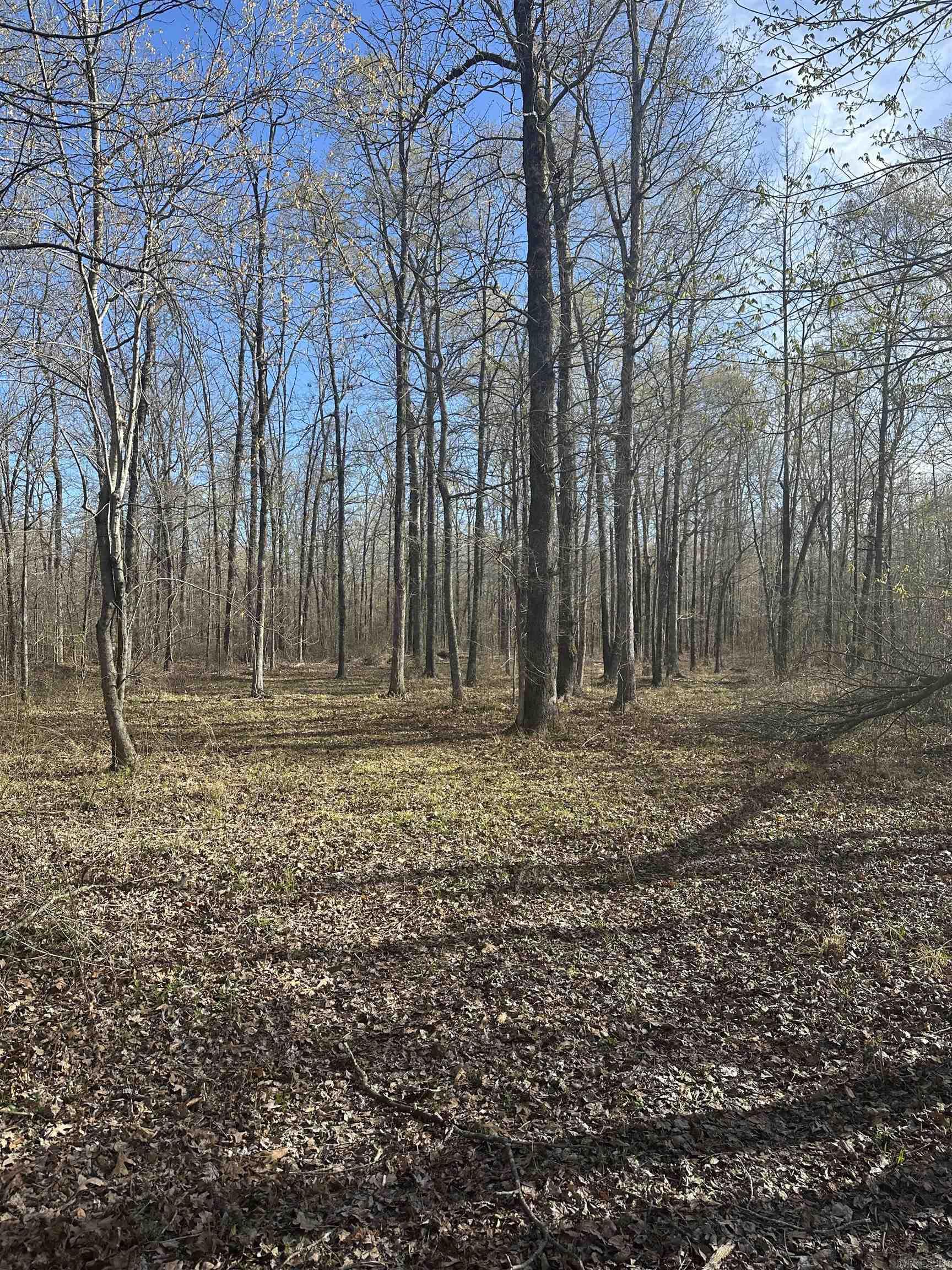 000 N Lebanon Rd  McRae, AR