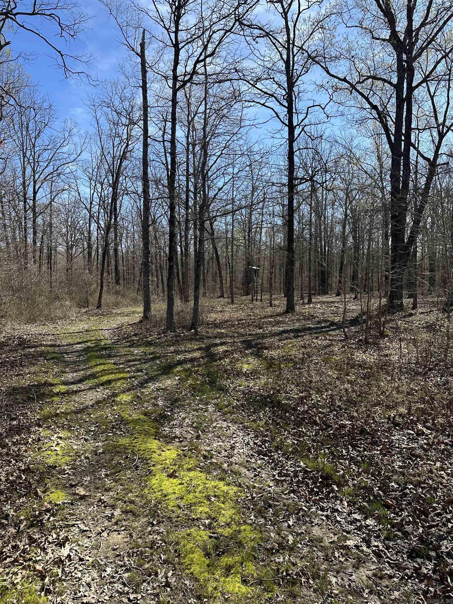 000 N Lebanon Rd  McRae, AR