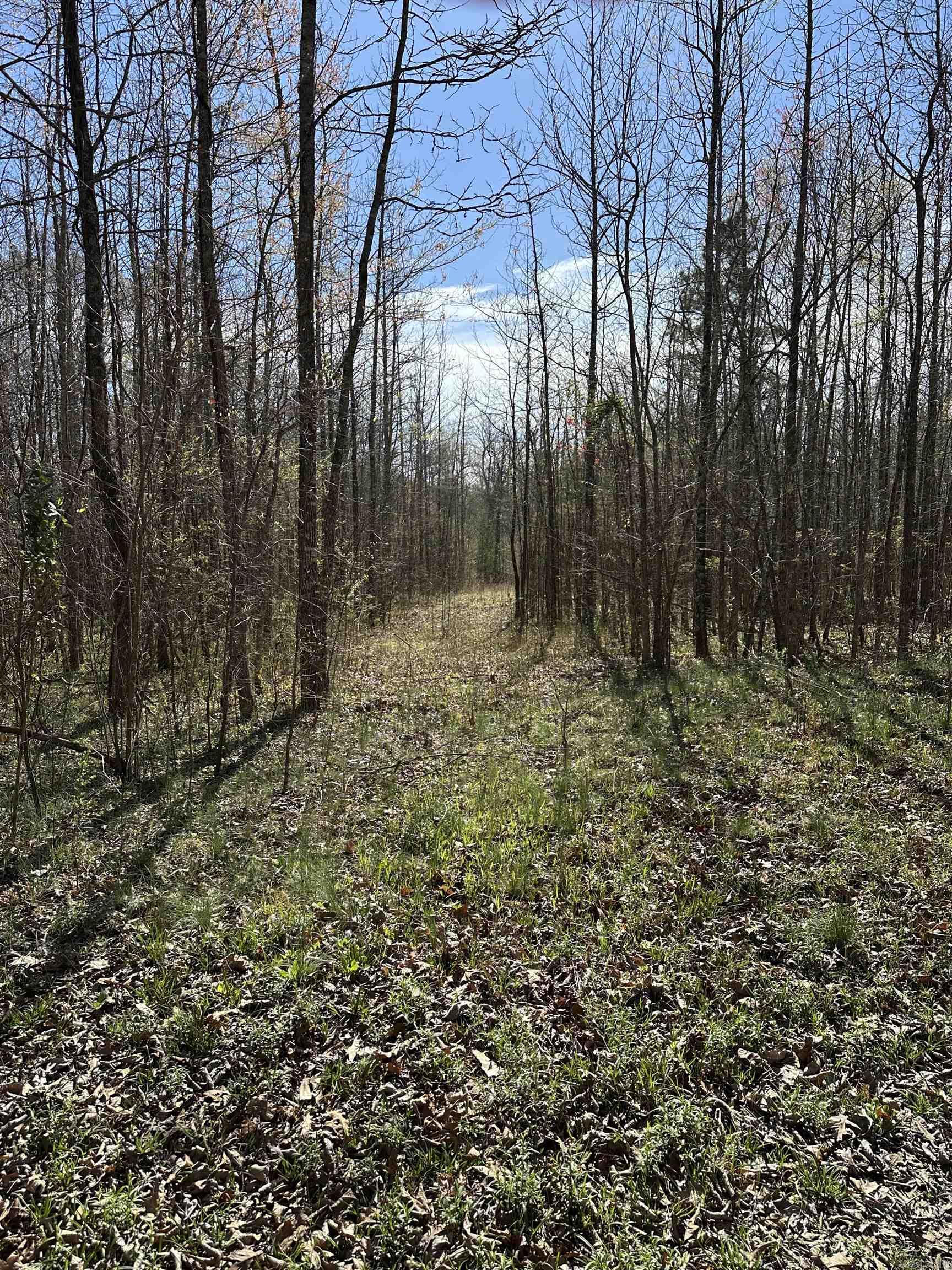 000 N Lebanon Rd  McRae, AR