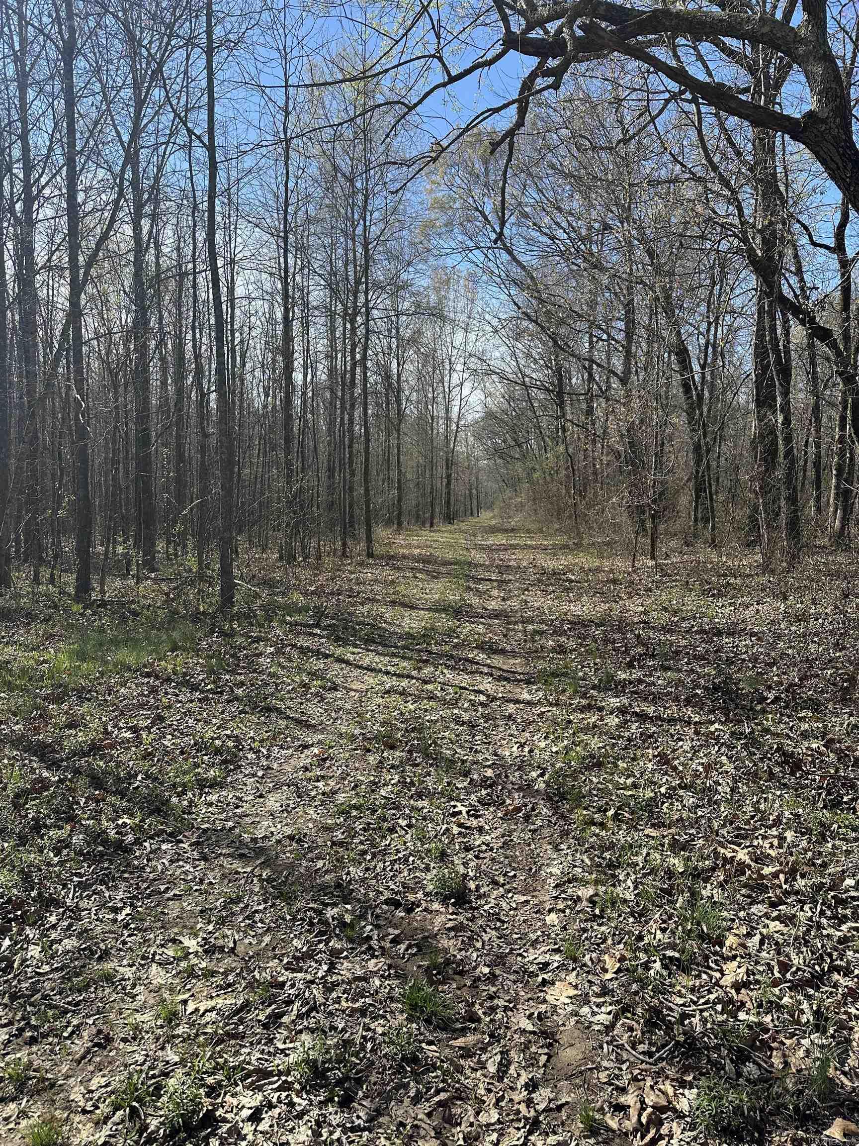 000 N Lebanon Rd  McRae, AR