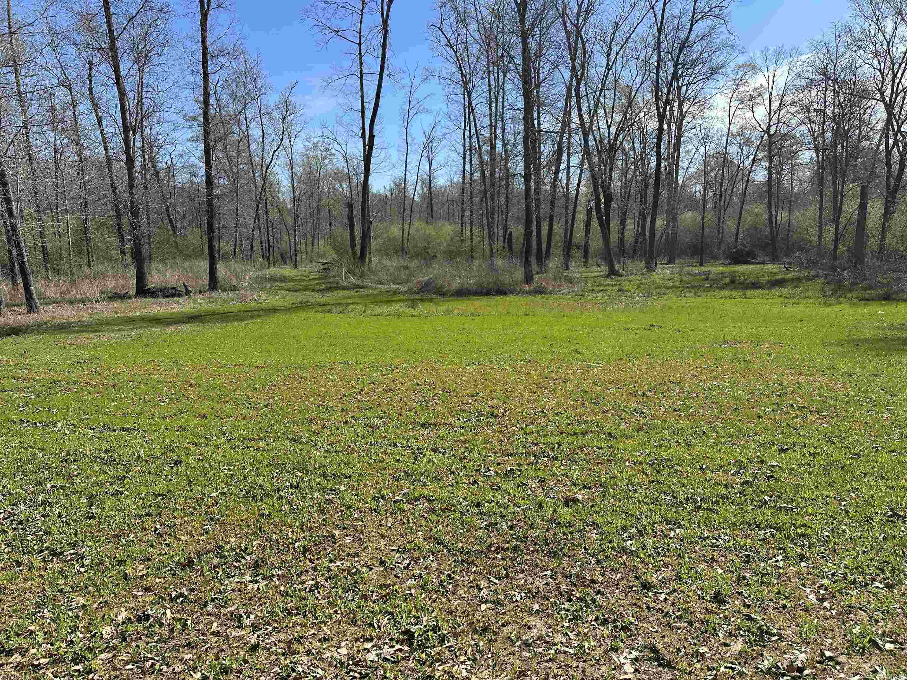 000 N Lebanon Rd  McRae, AR