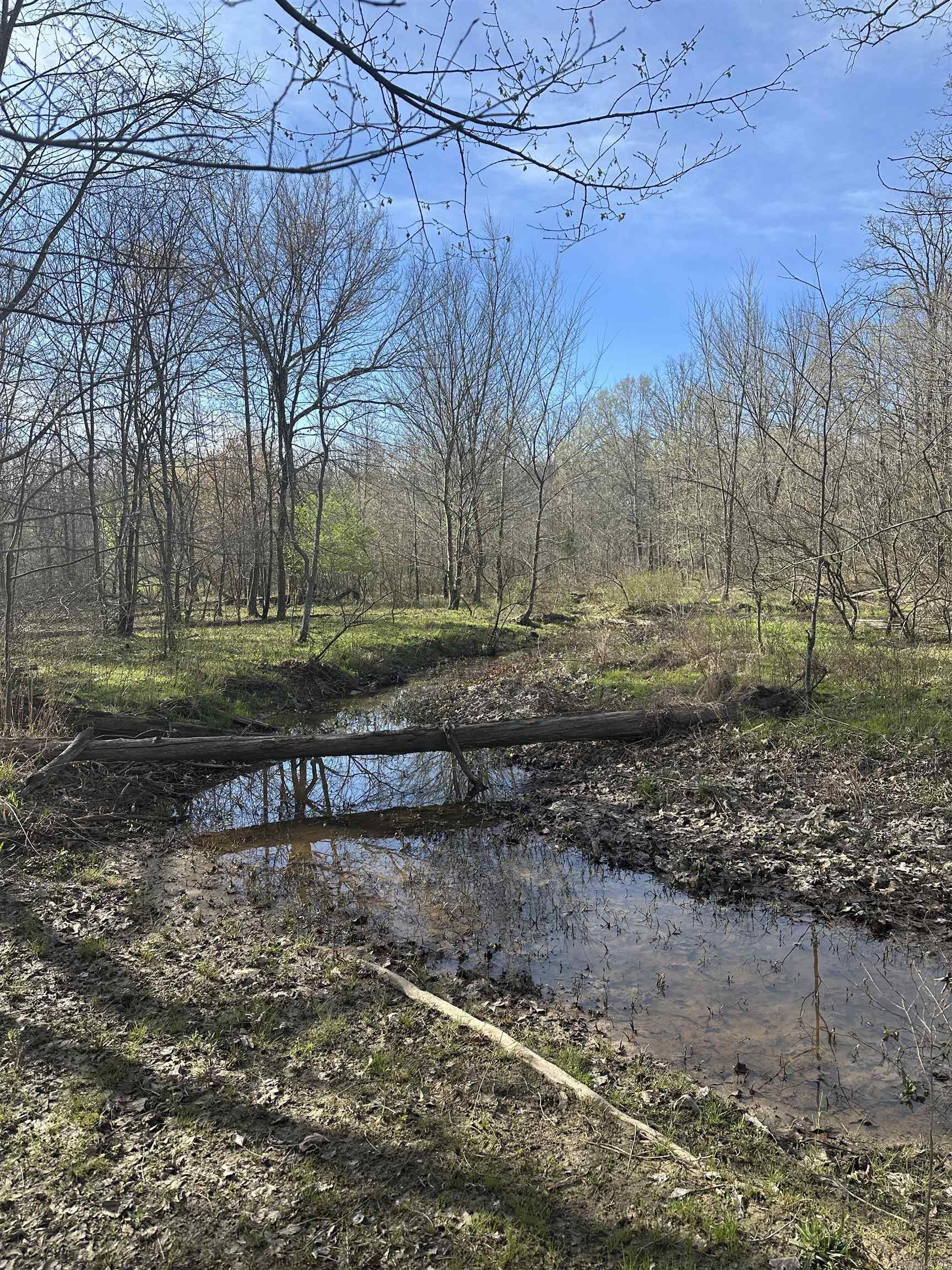 000 N Lebanon Rd  McRae, AR