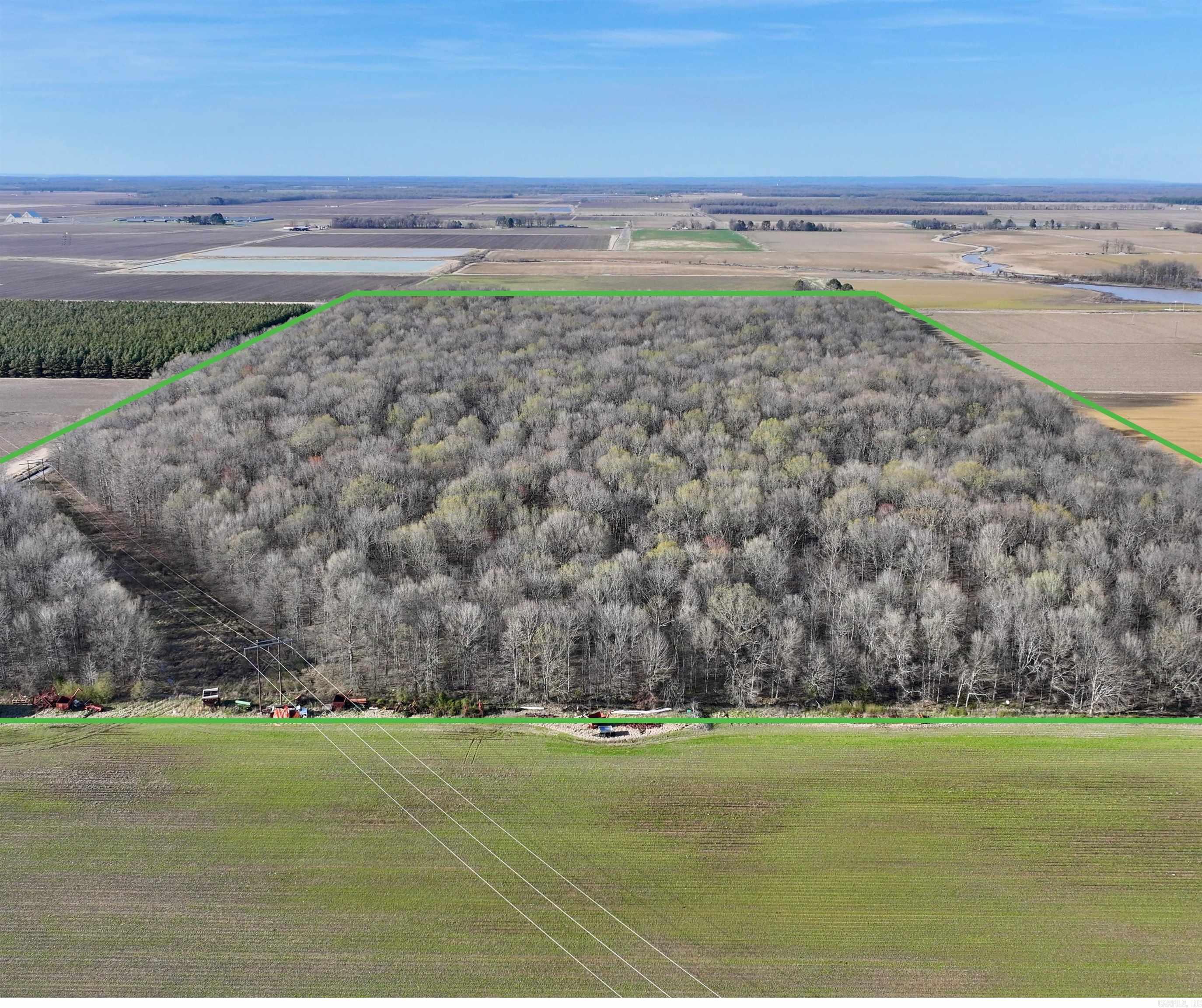 00  Verlon Moody  Griffithville, AR