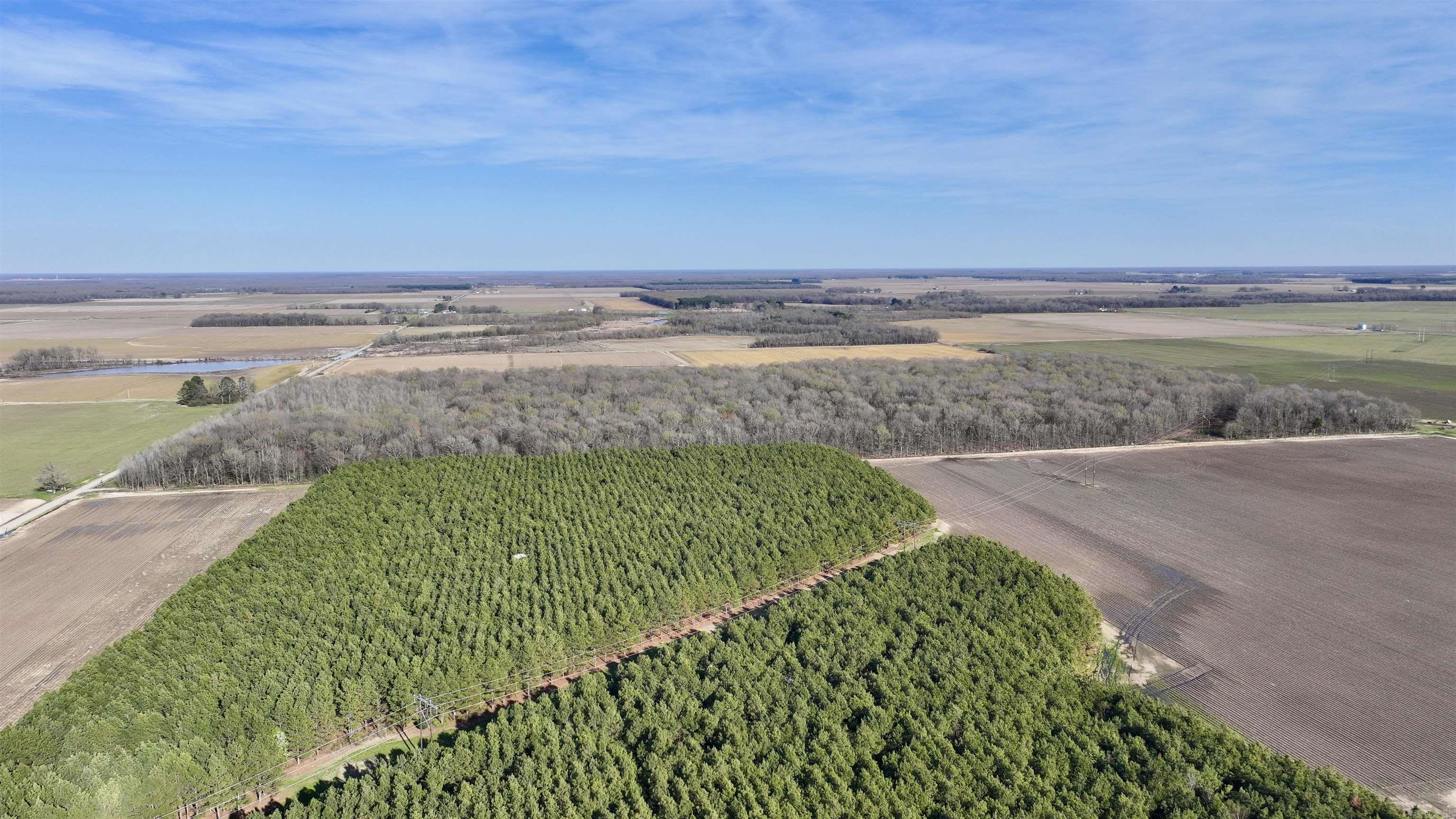 00  Verlon Moody  Griffithville, AR