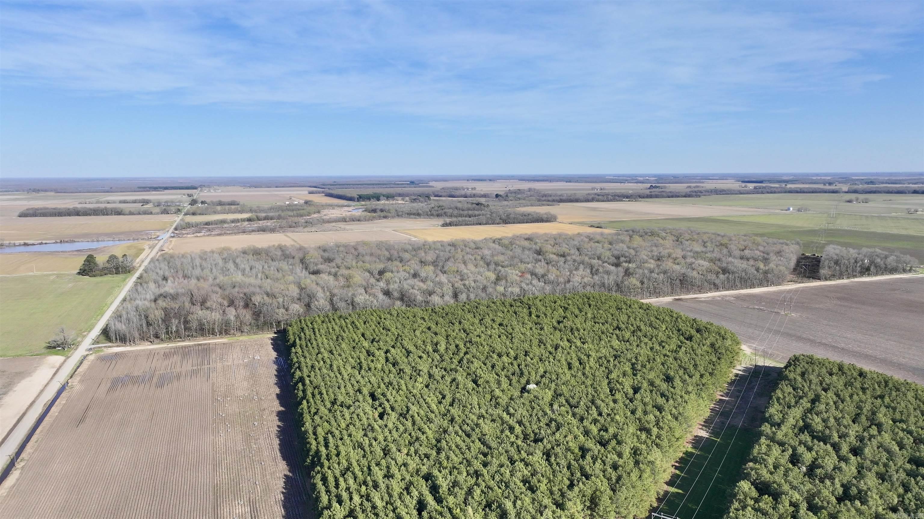 00  Verlon Moody  Griffithville, AR