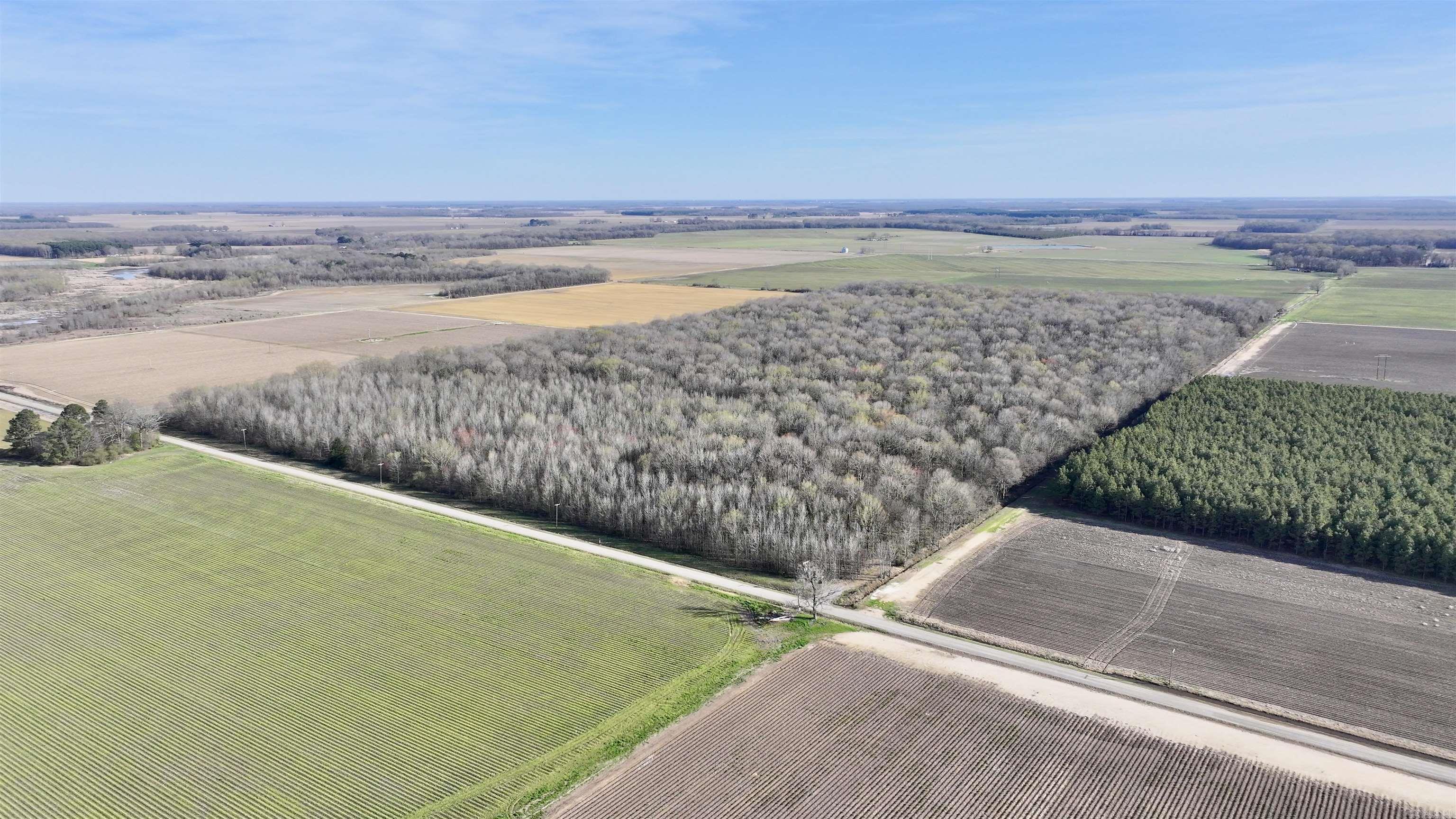 00  Verlon Moody  Griffithville, AR