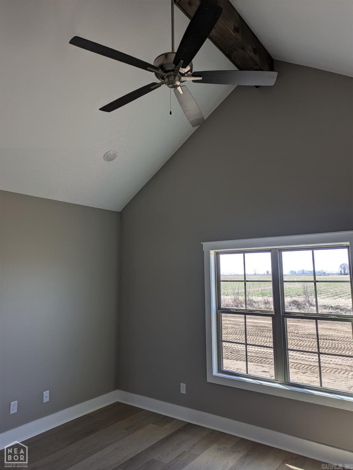 177  Pintail Pointe  Manila, AR