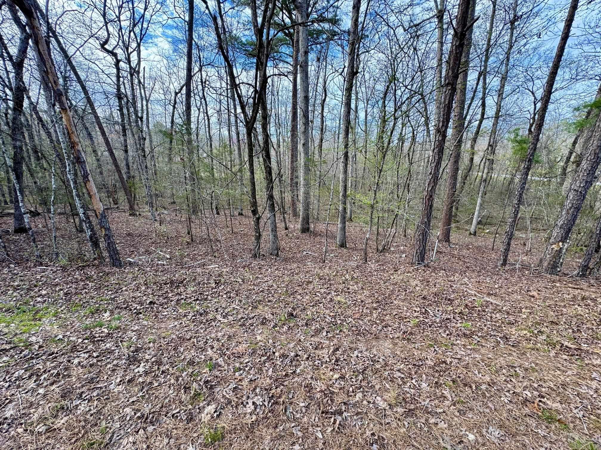 3  Saldana Way  Hot Springs Village, AR
