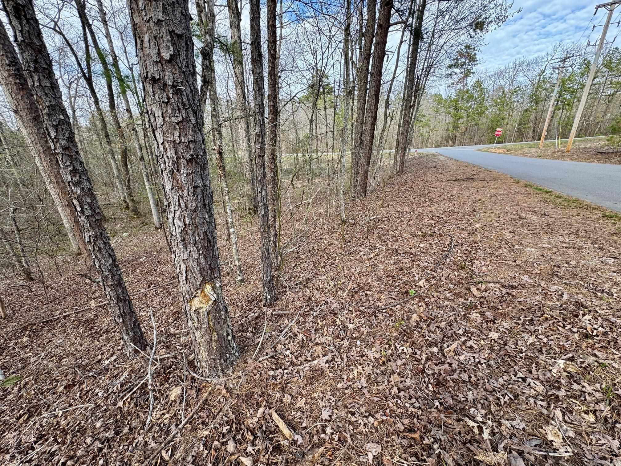 3  Saldana Way  Hot Springs Village, AR