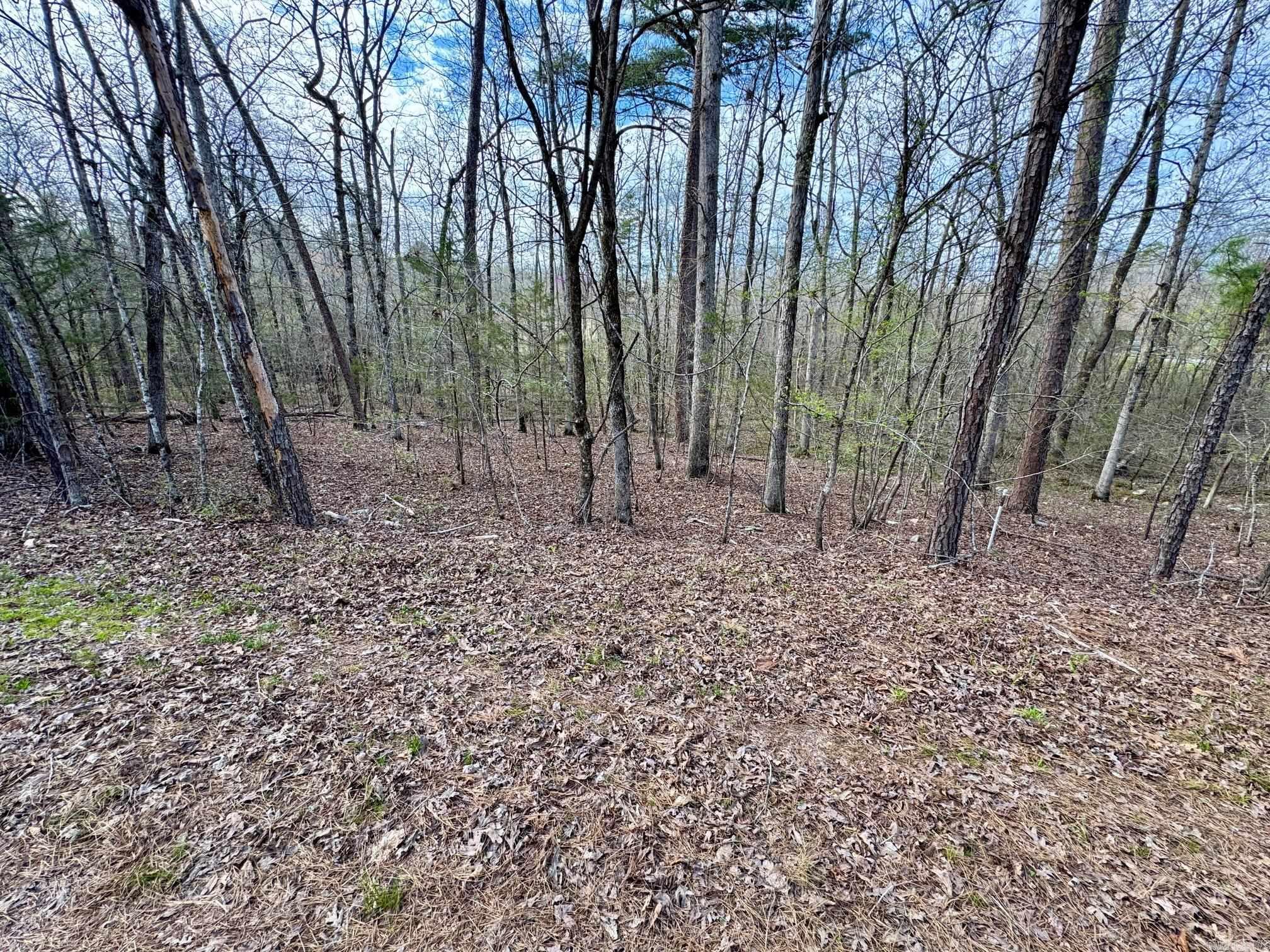 3  Saldana Way  Hot Springs Village, AR