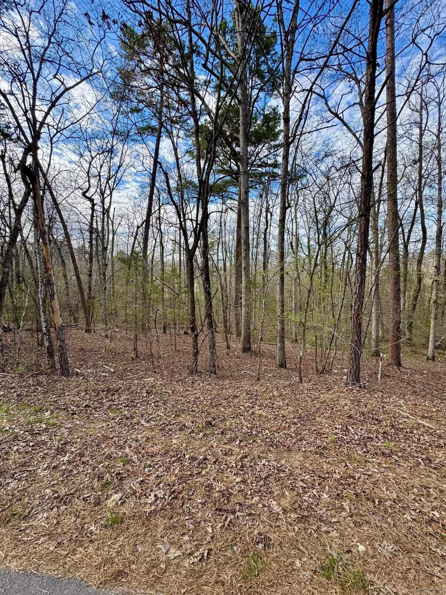 3  Saldana Way  Hot Springs Village, AR