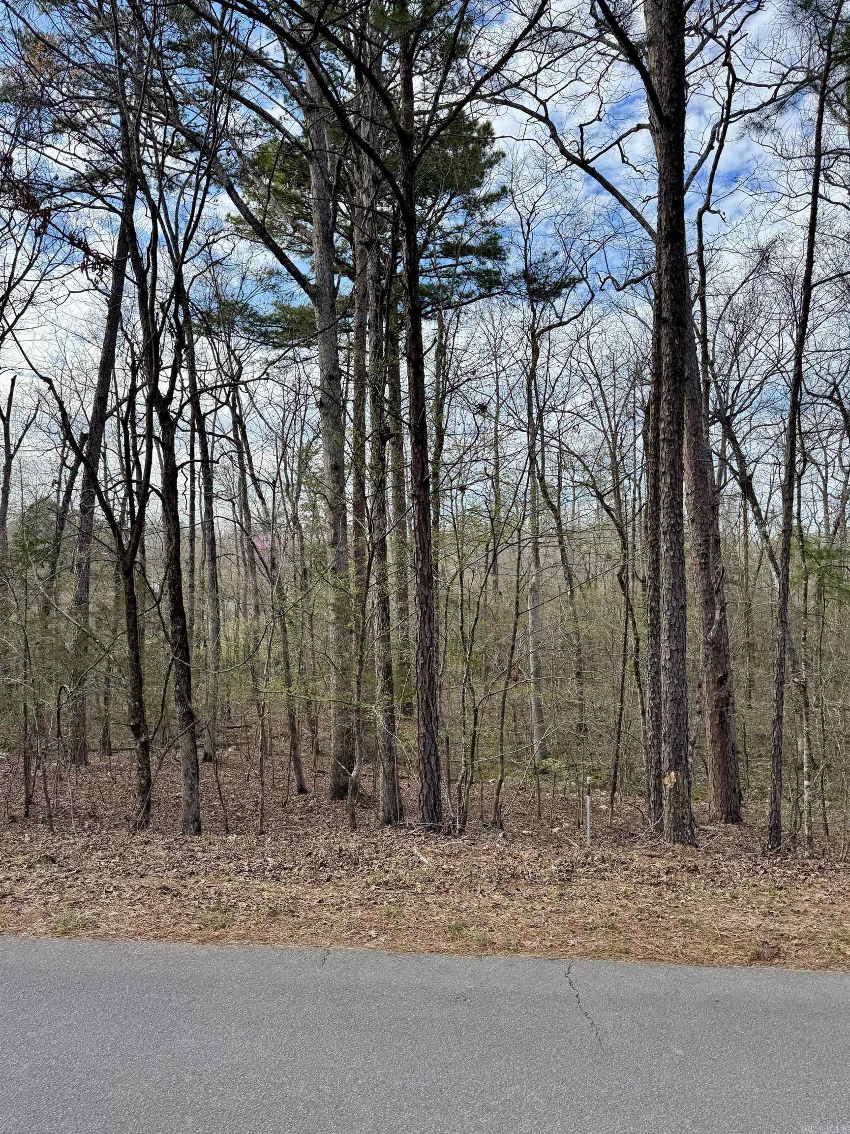 3  Saldana Way  Hot Springs Village, AR