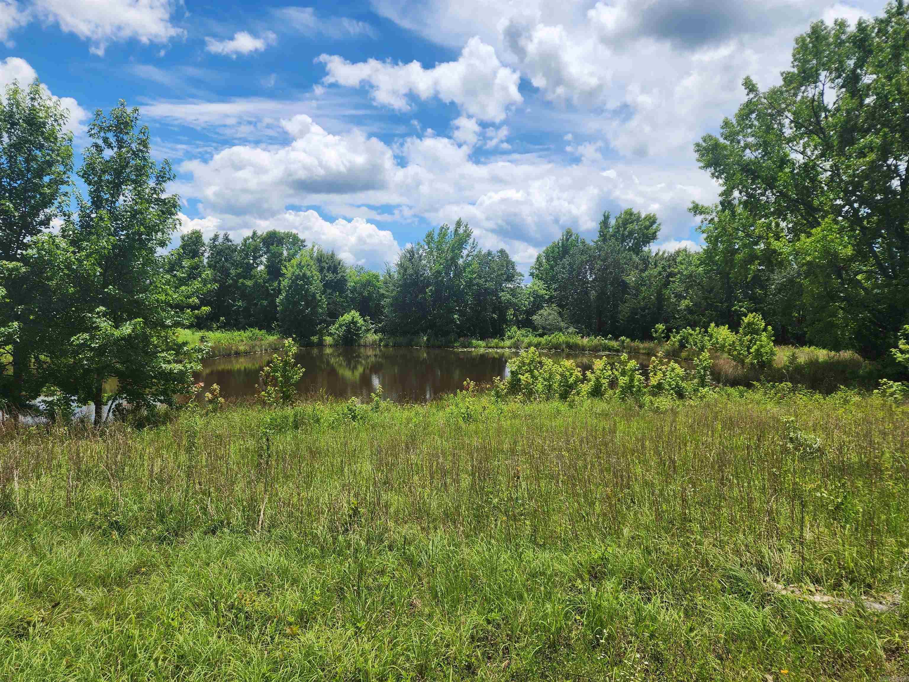  CR 4410  Clarksville, AR