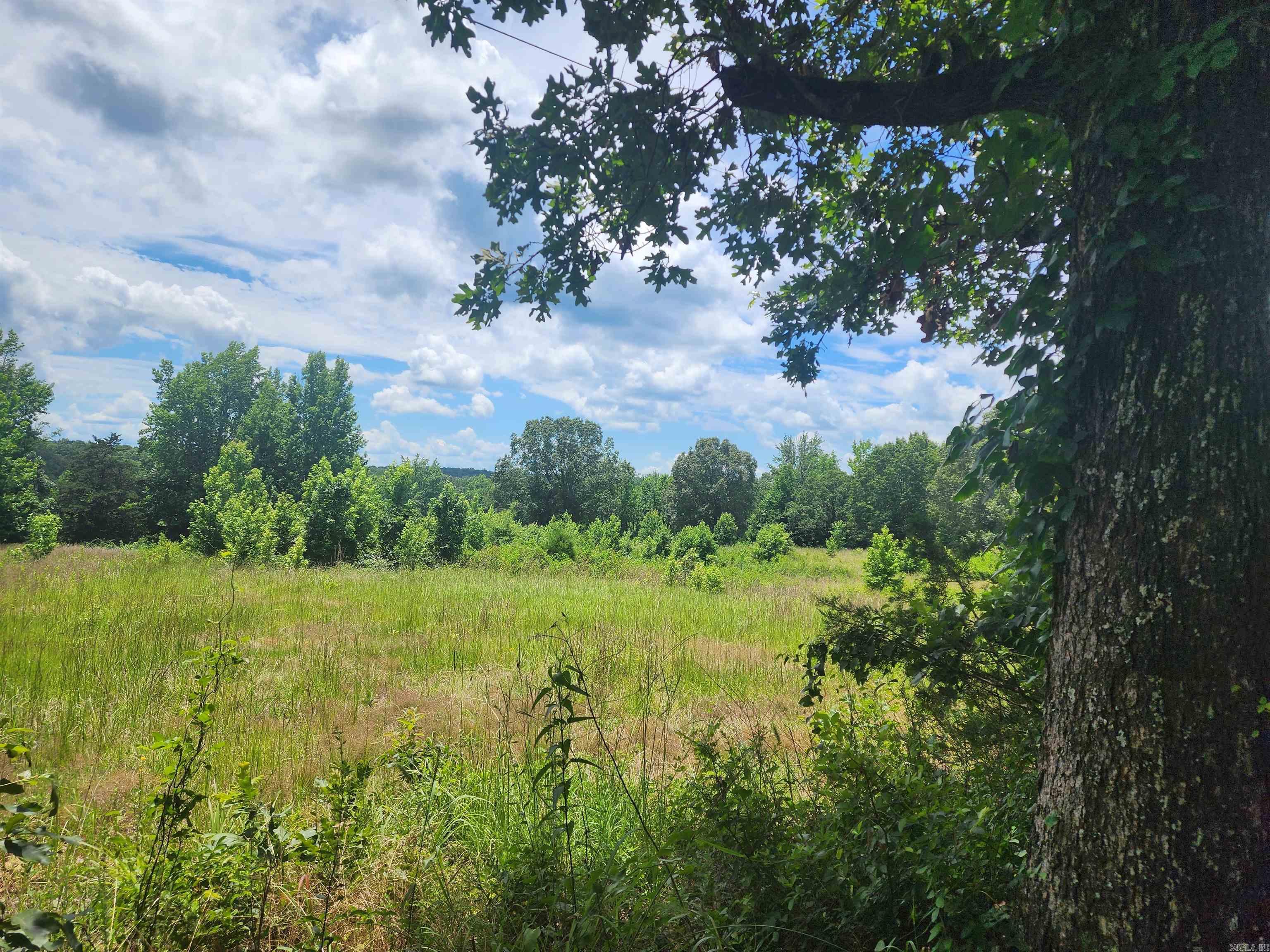  CR 4410  Clarksville, AR