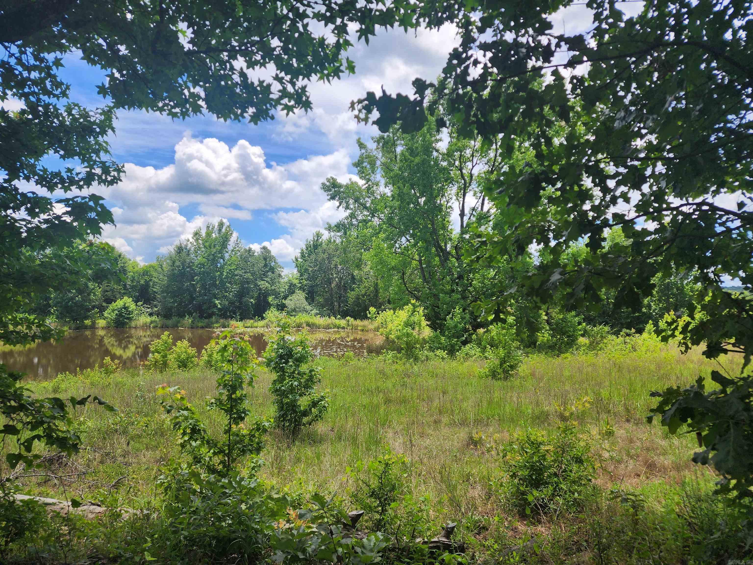  CR 4410  Clarksville, AR