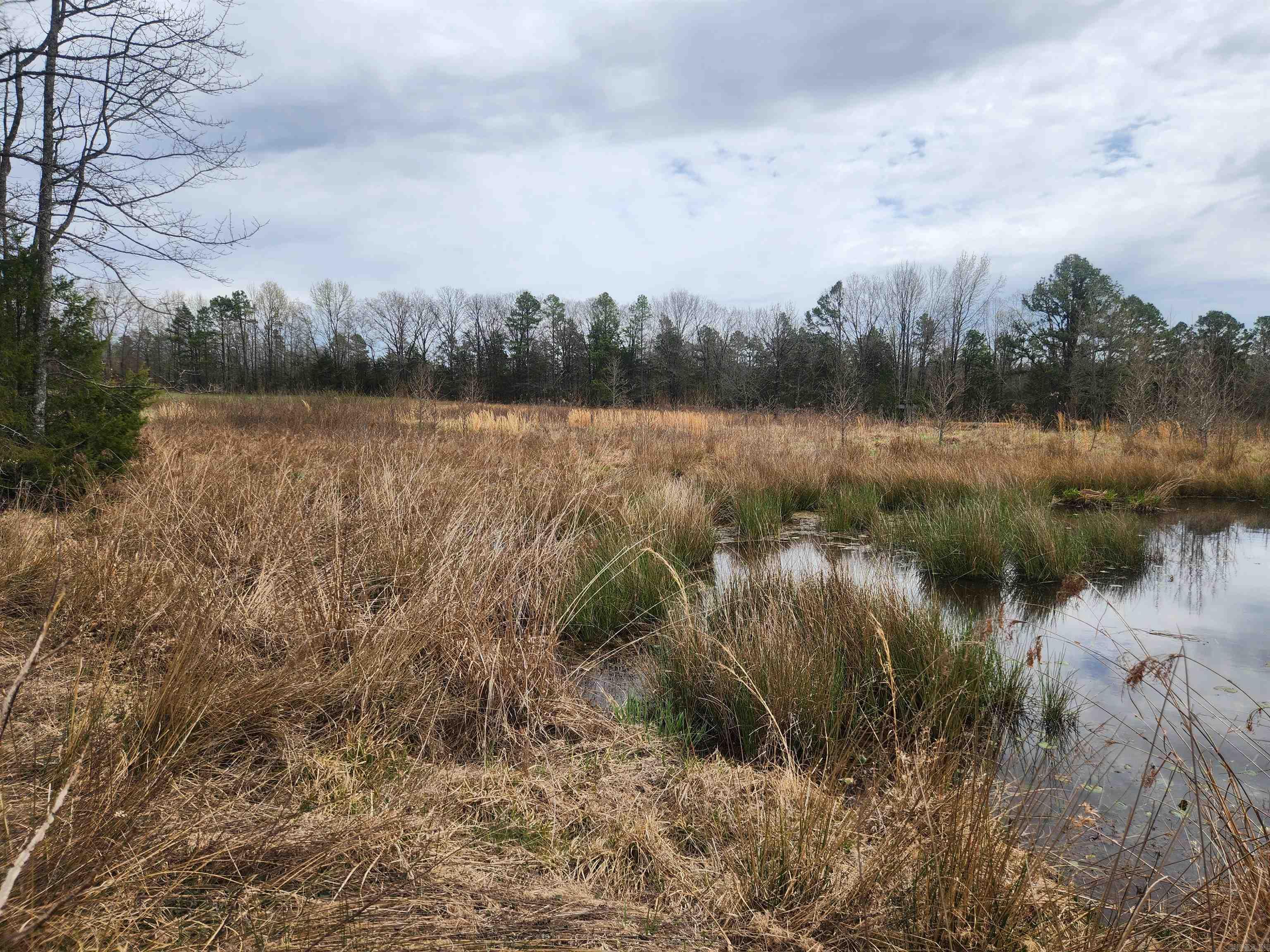   CR 4410  Clarksville, AR