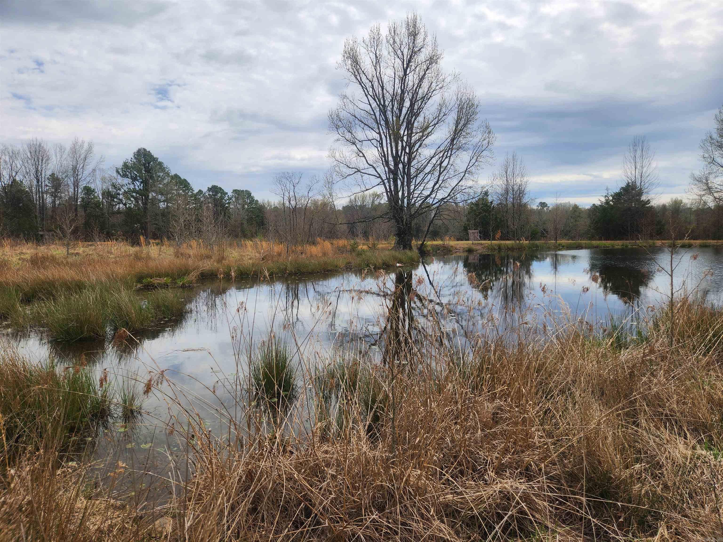   CR 4410  Clarksville, AR
