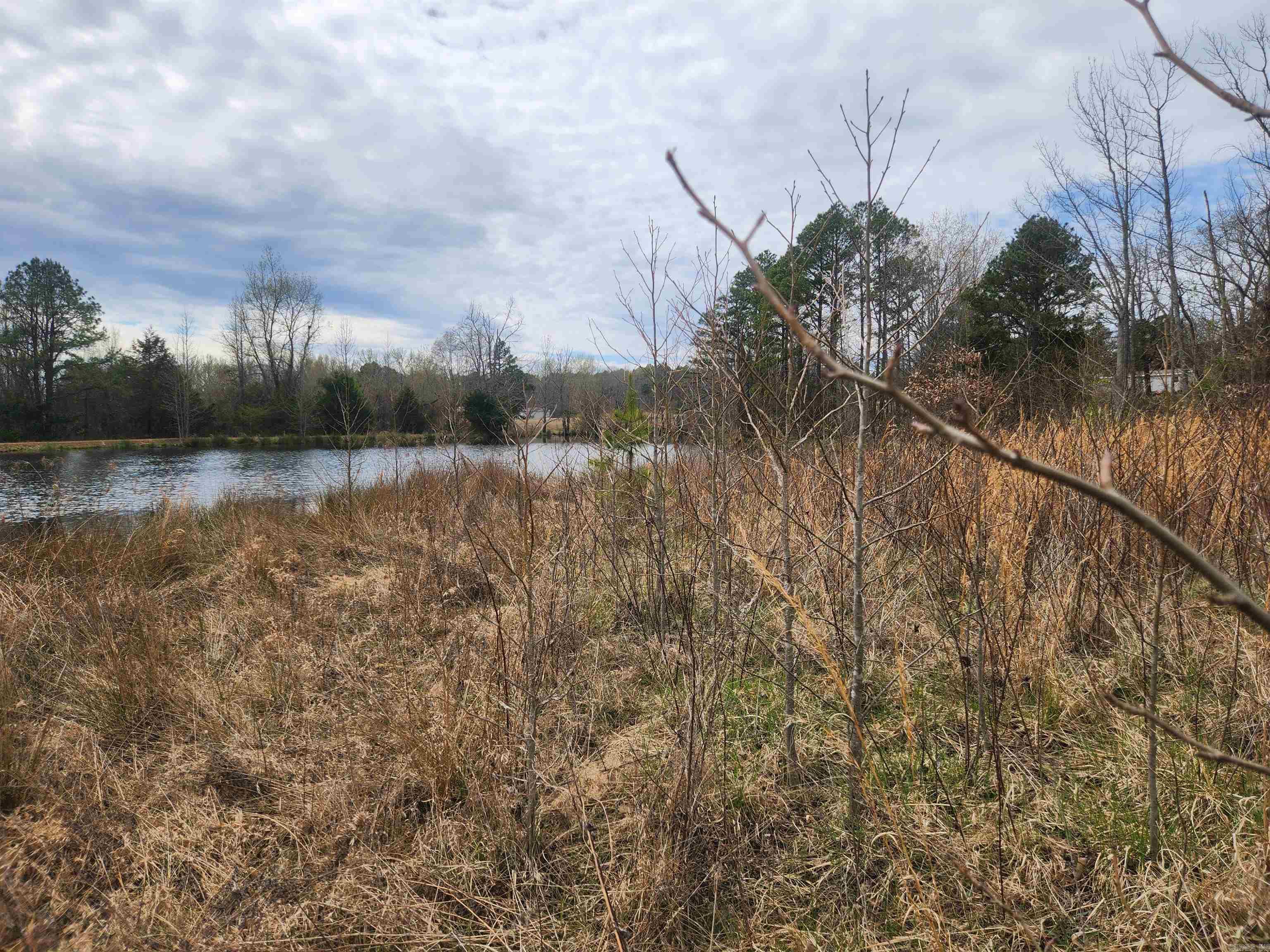   CR 4410  Clarksville, AR