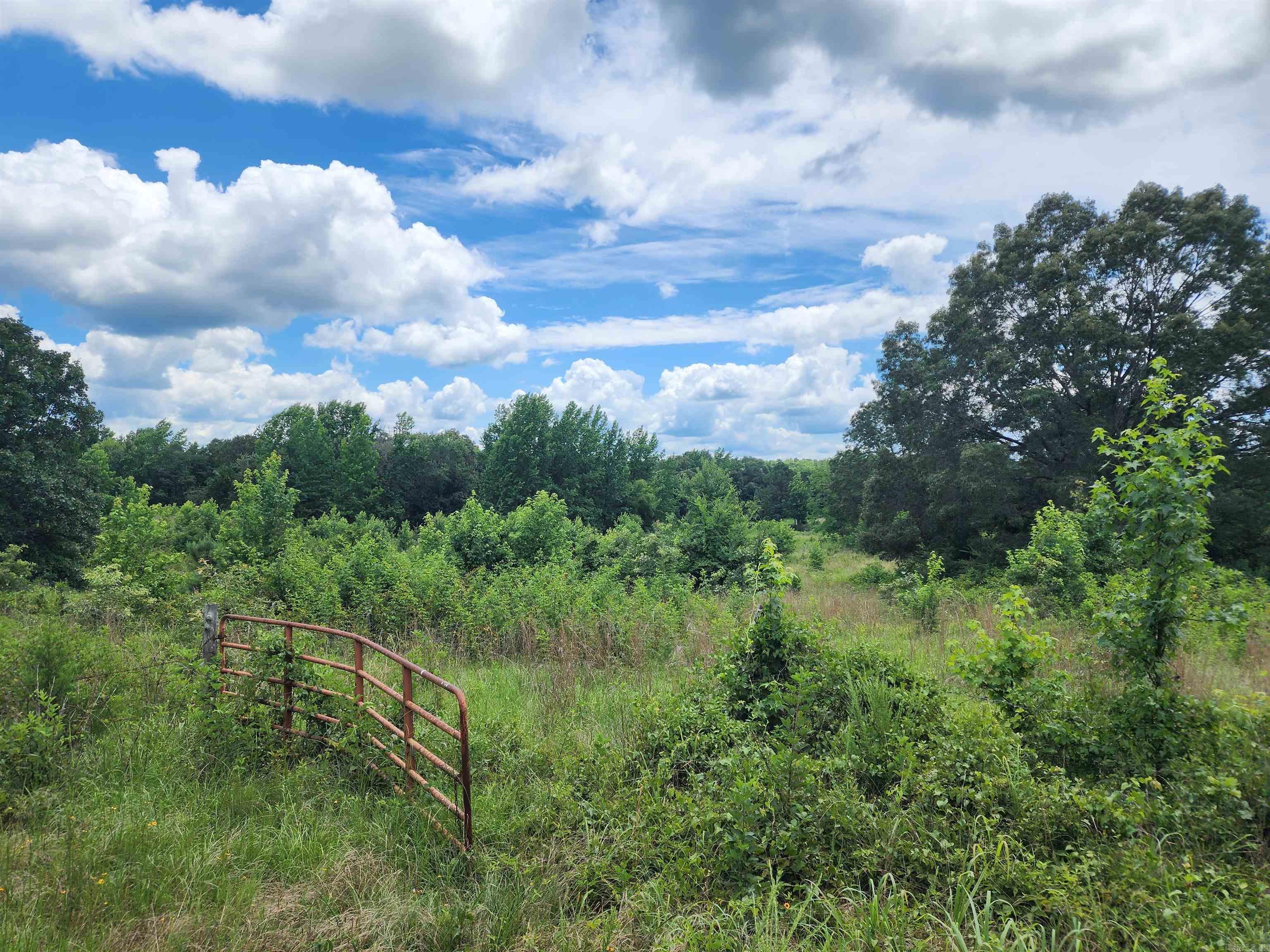  CR 4410  Clarksville, AR