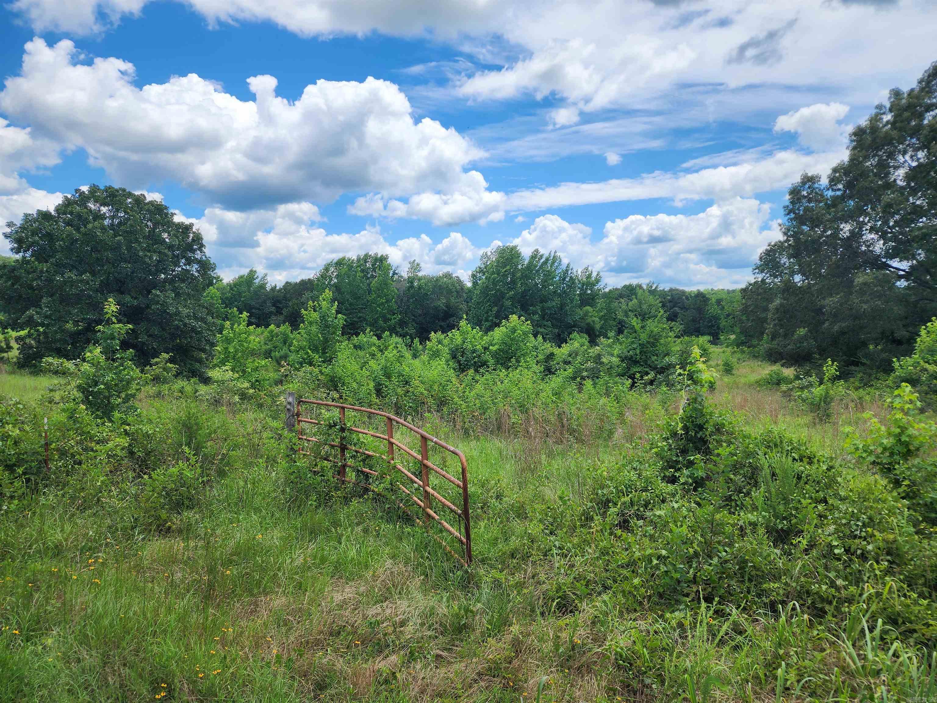  CR 4410  Clarksville, AR