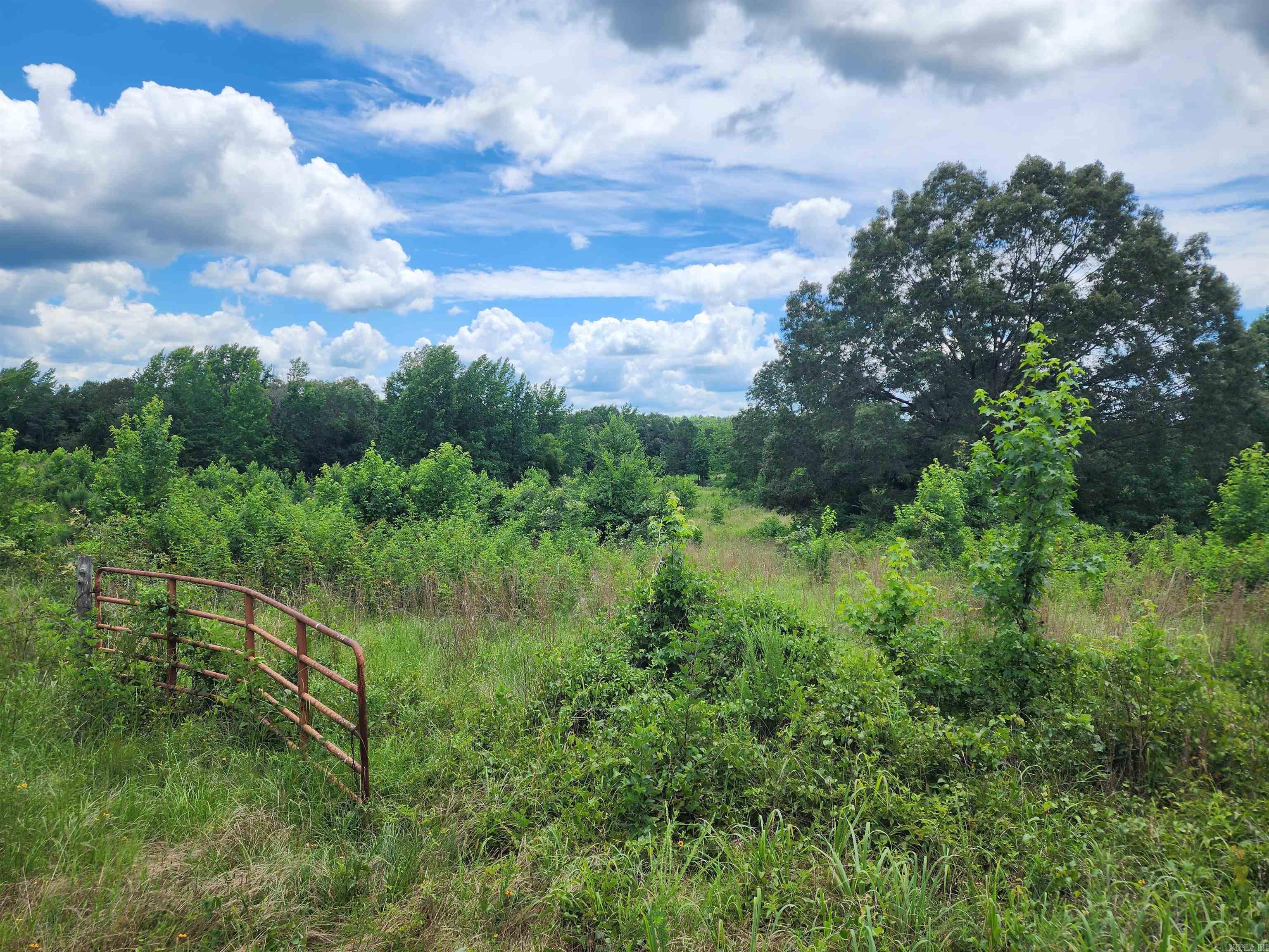  CR 4410  Clarksville, AR