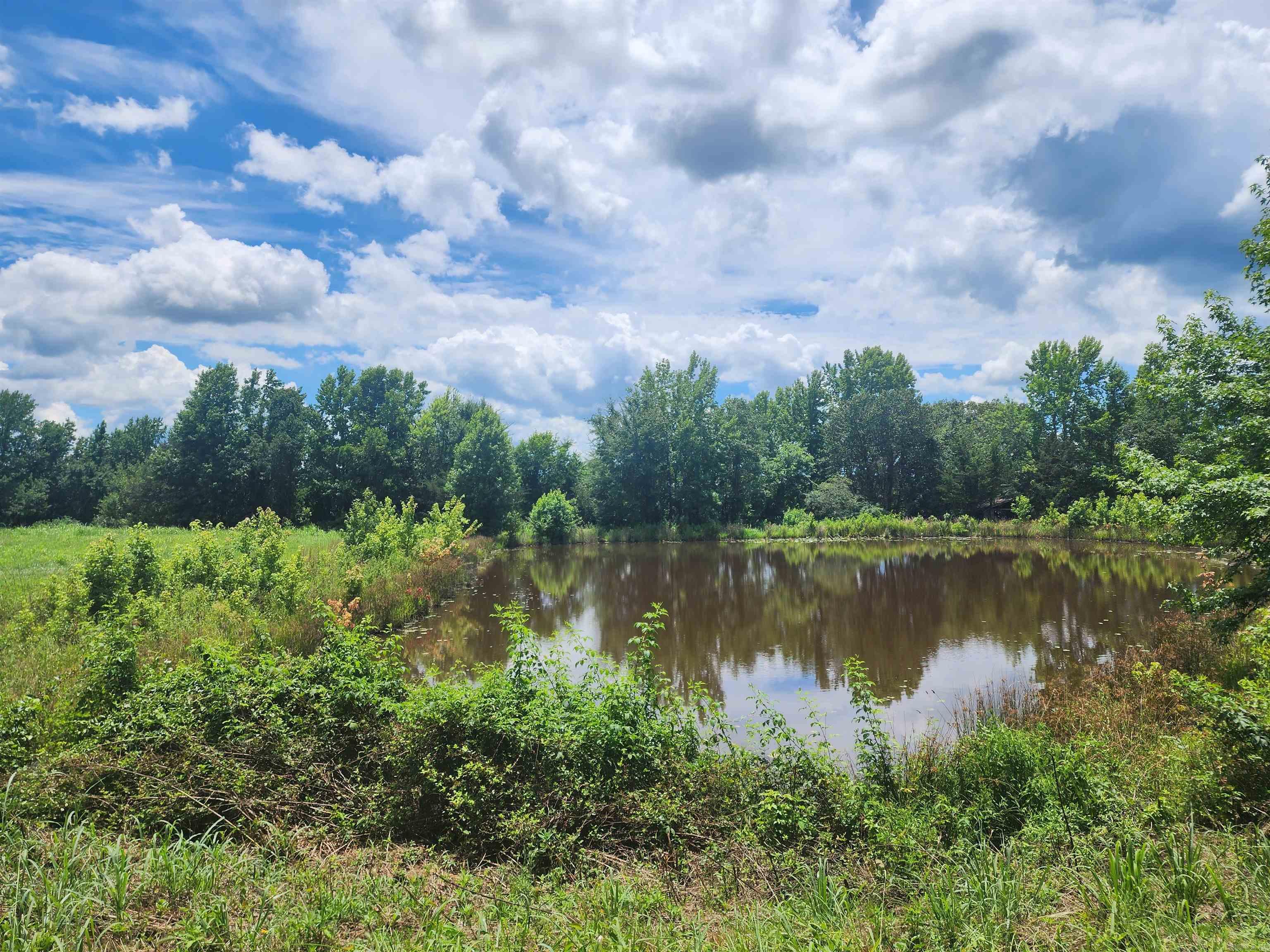  CR 4410  Clarksville, AR
