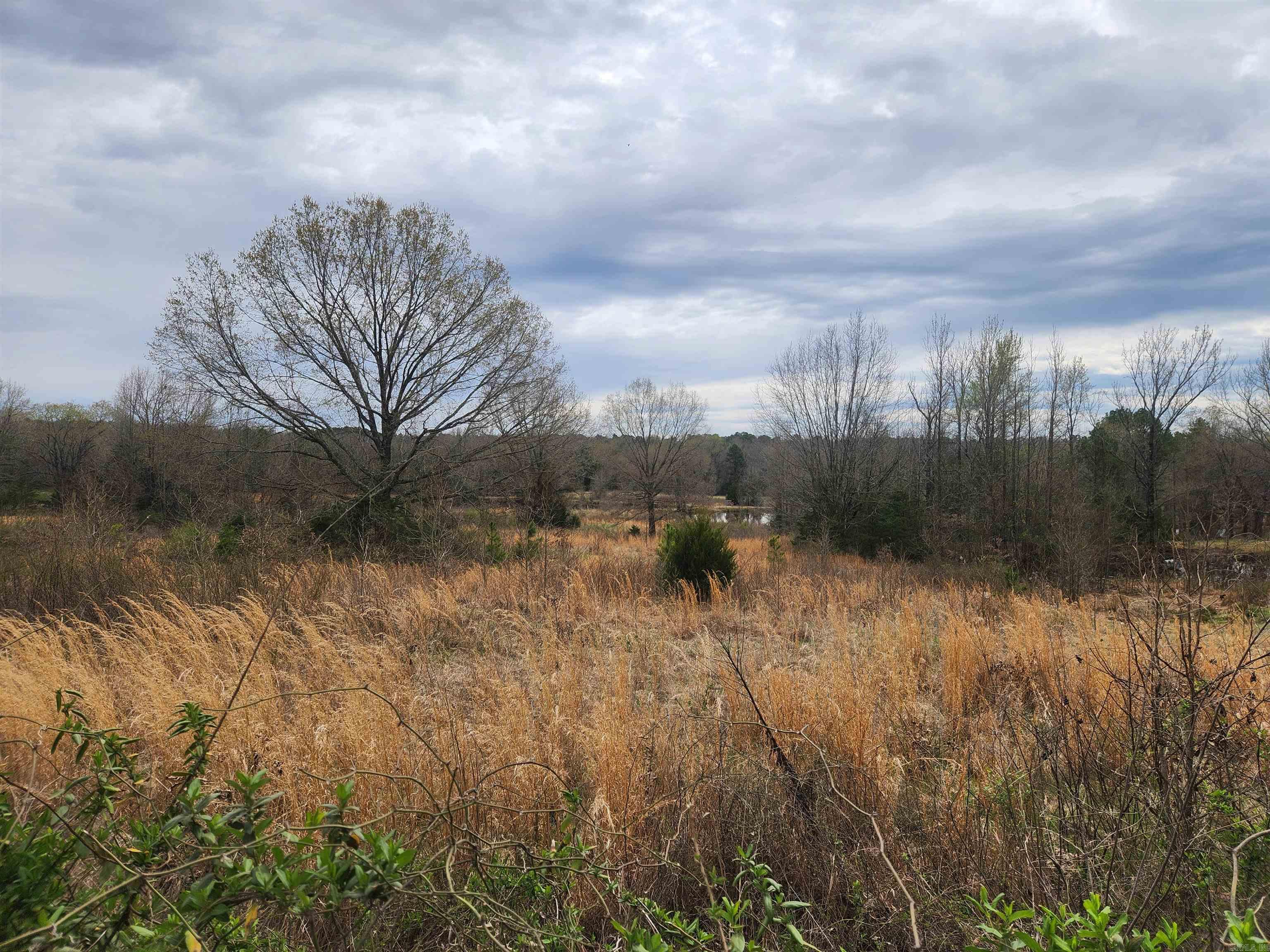   CR 4410  Clarksville, AR