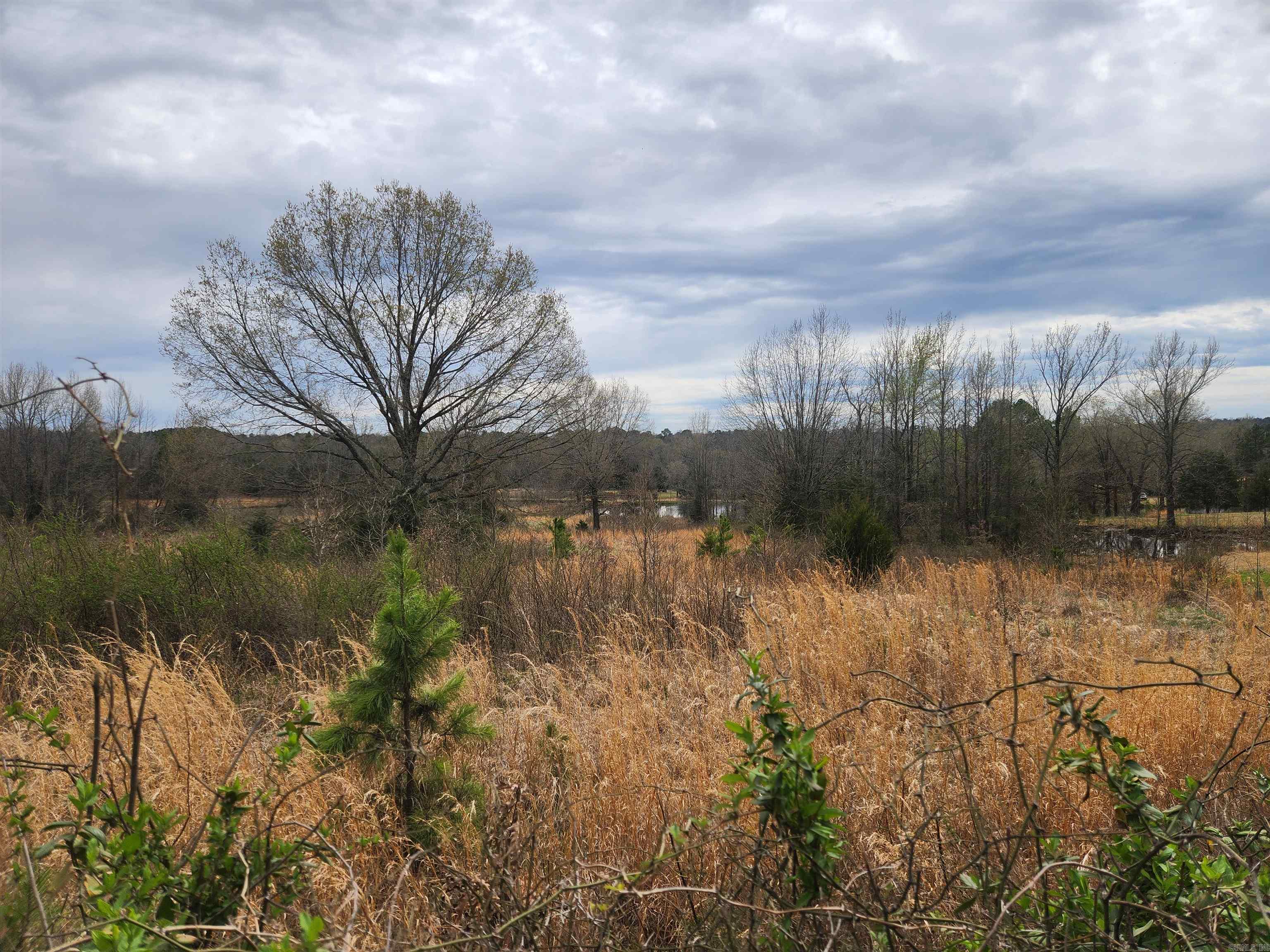   CR 4410  Clarksville, AR