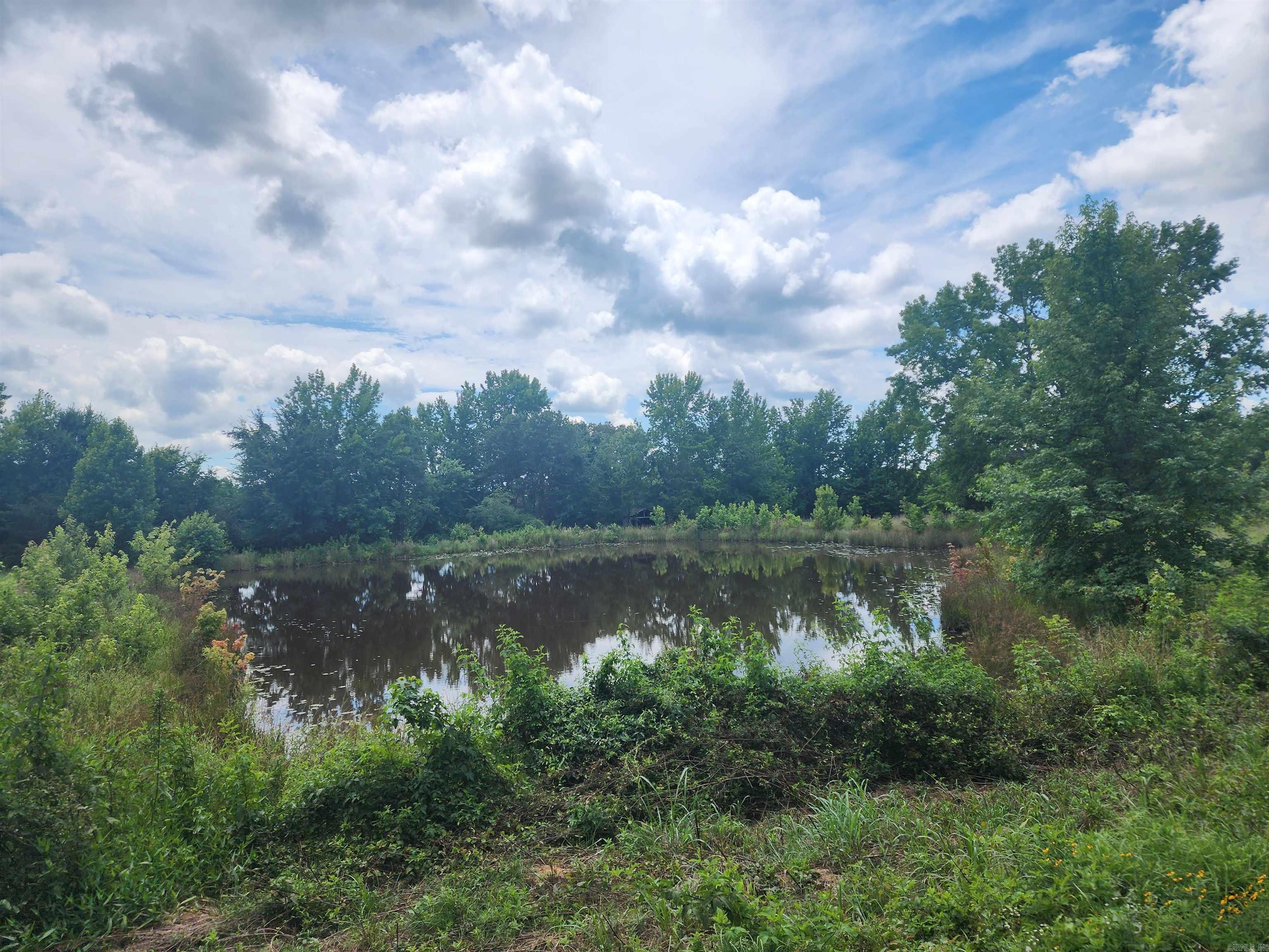  CR 4410  Clarksville, AR