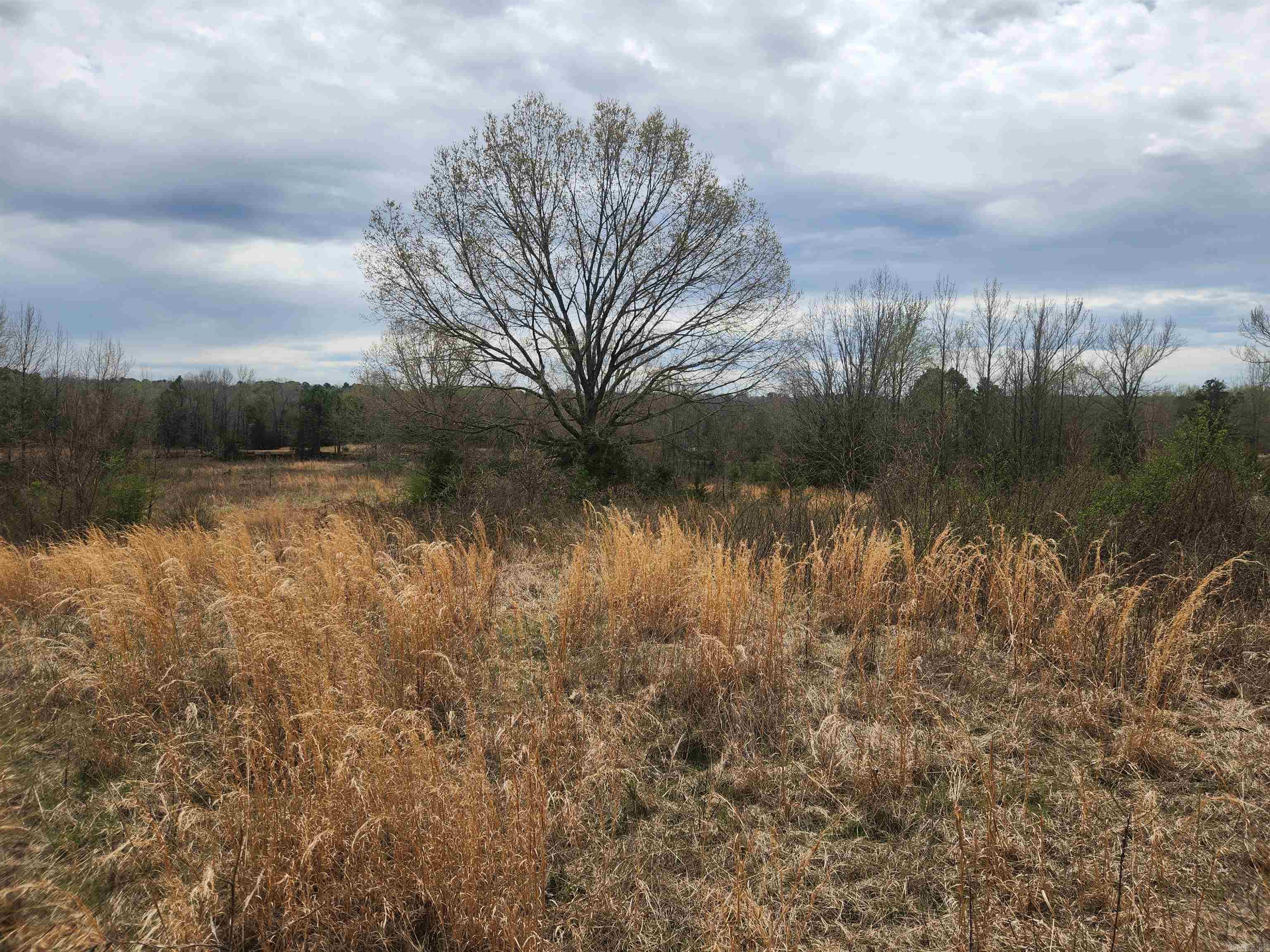   CR 4410  Clarksville, AR