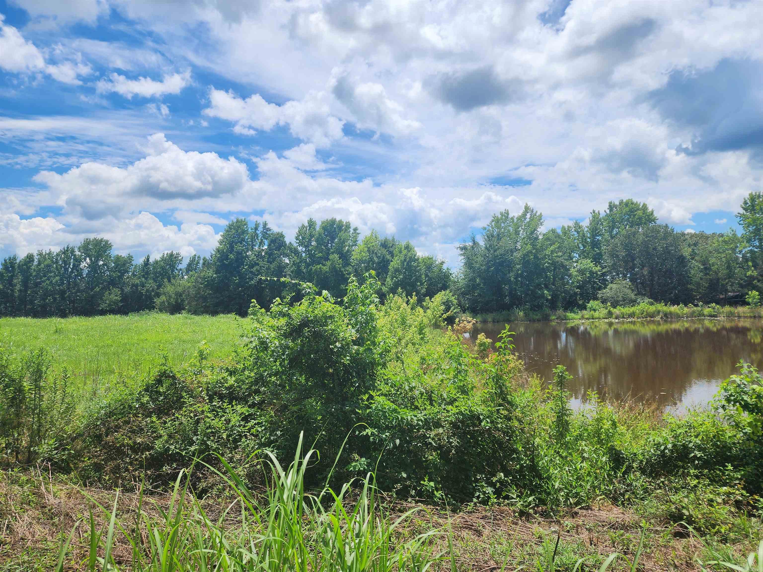  CR 4410  Clarksville, AR