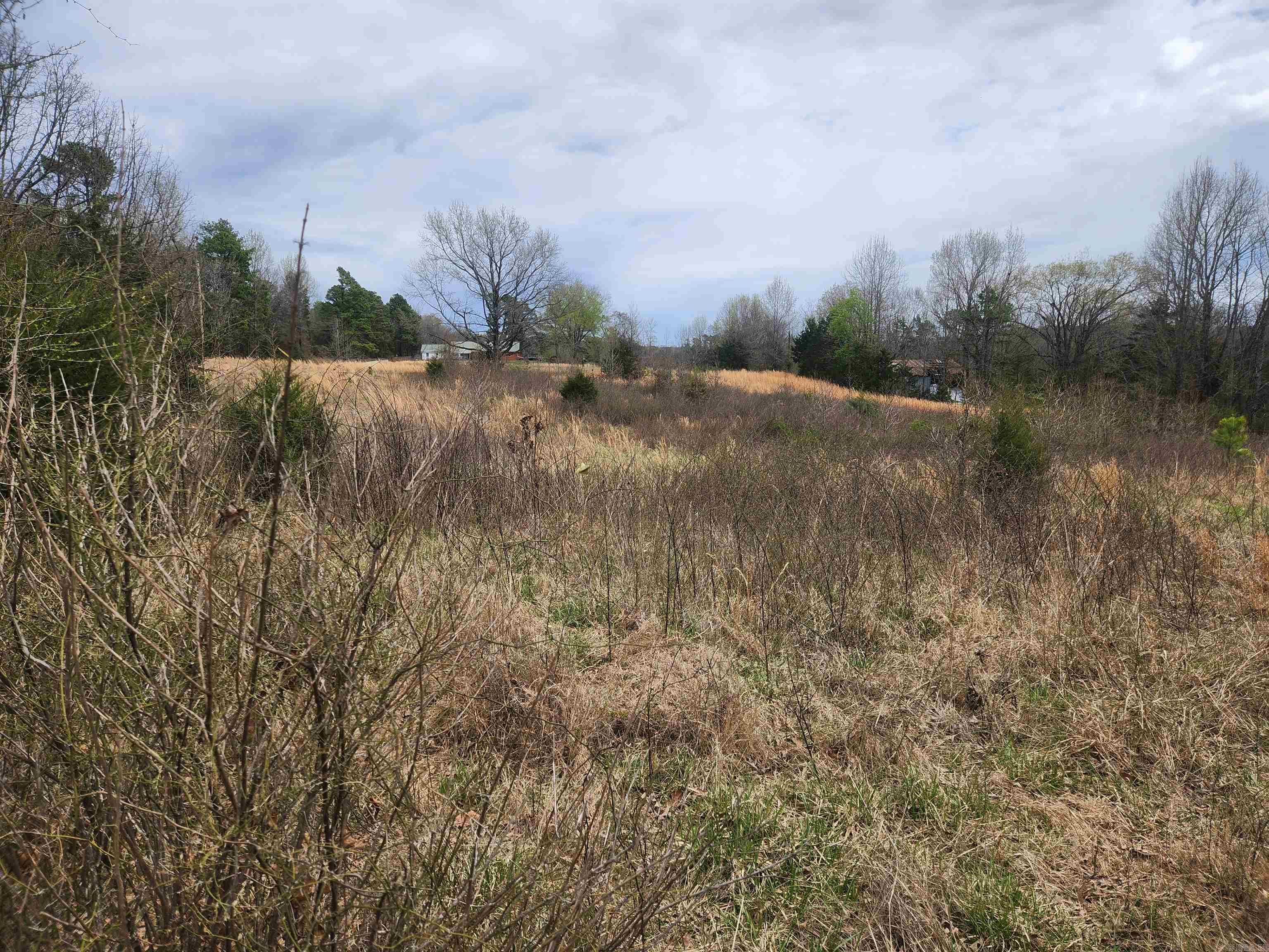   CR 4410  Clarksville, AR