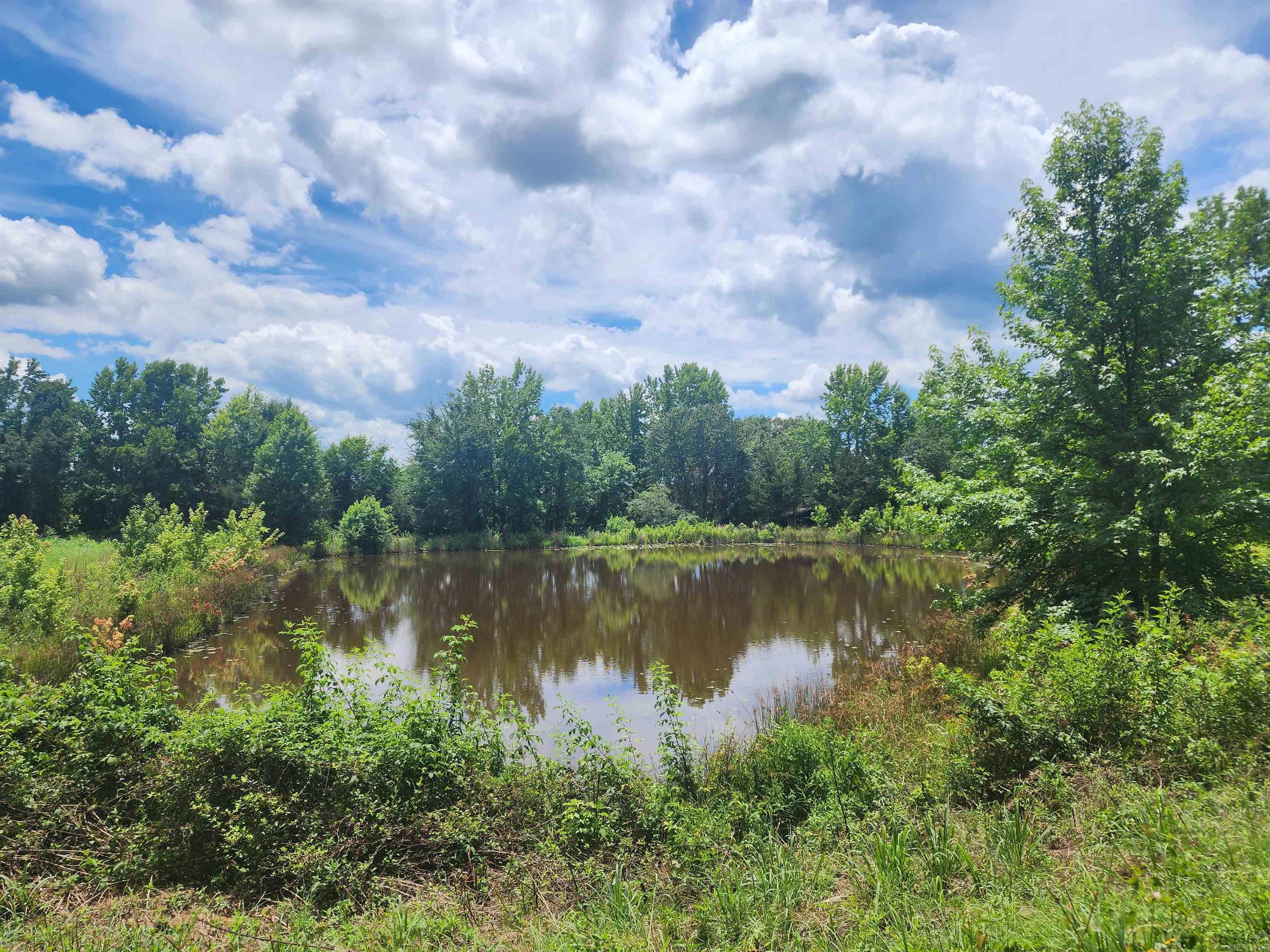  CR 4410  Clarksville, AR
