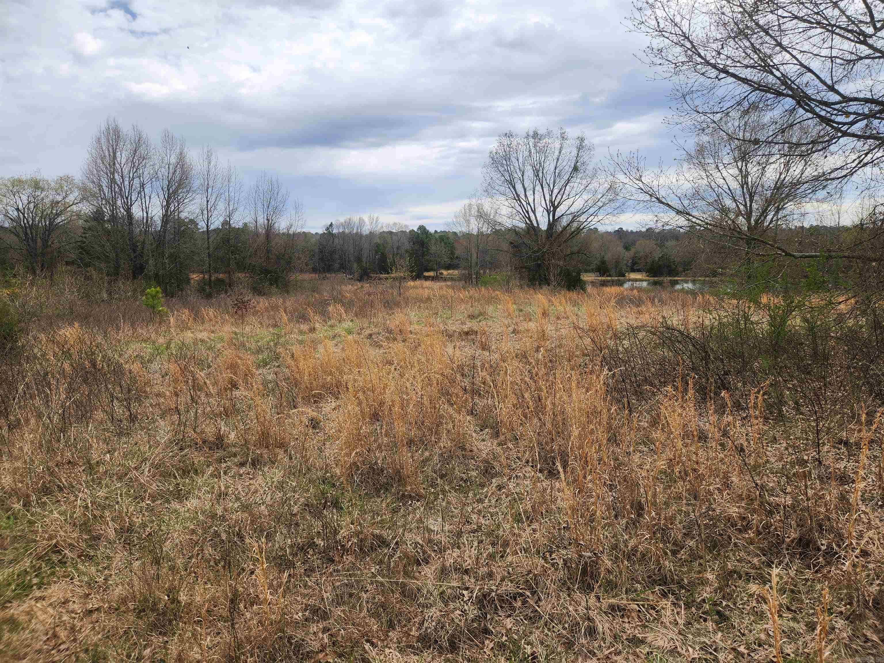   CR 4410  Clarksville, AR