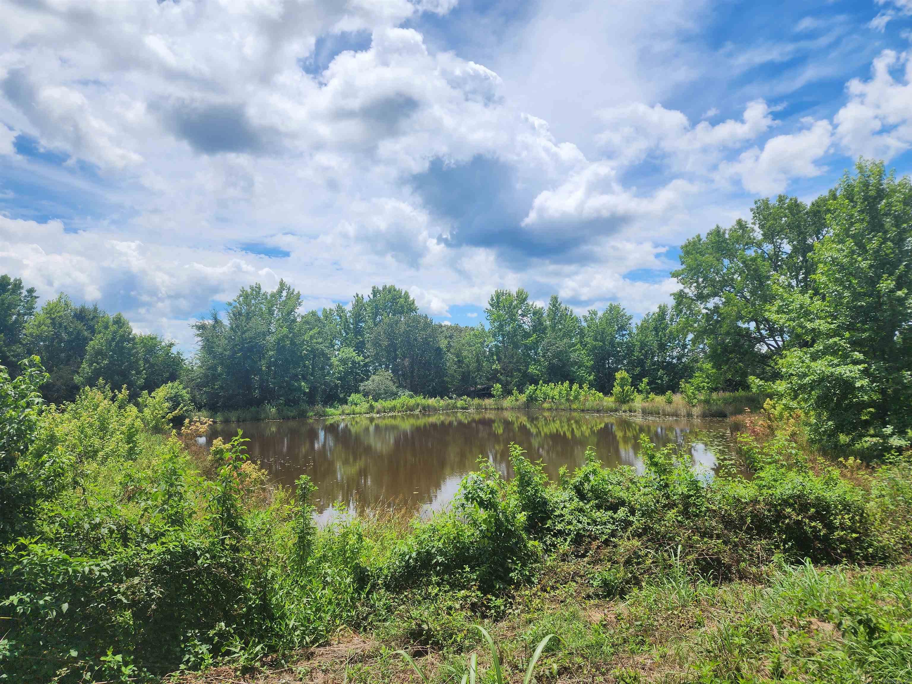 CR 4410  Clarksville, AR