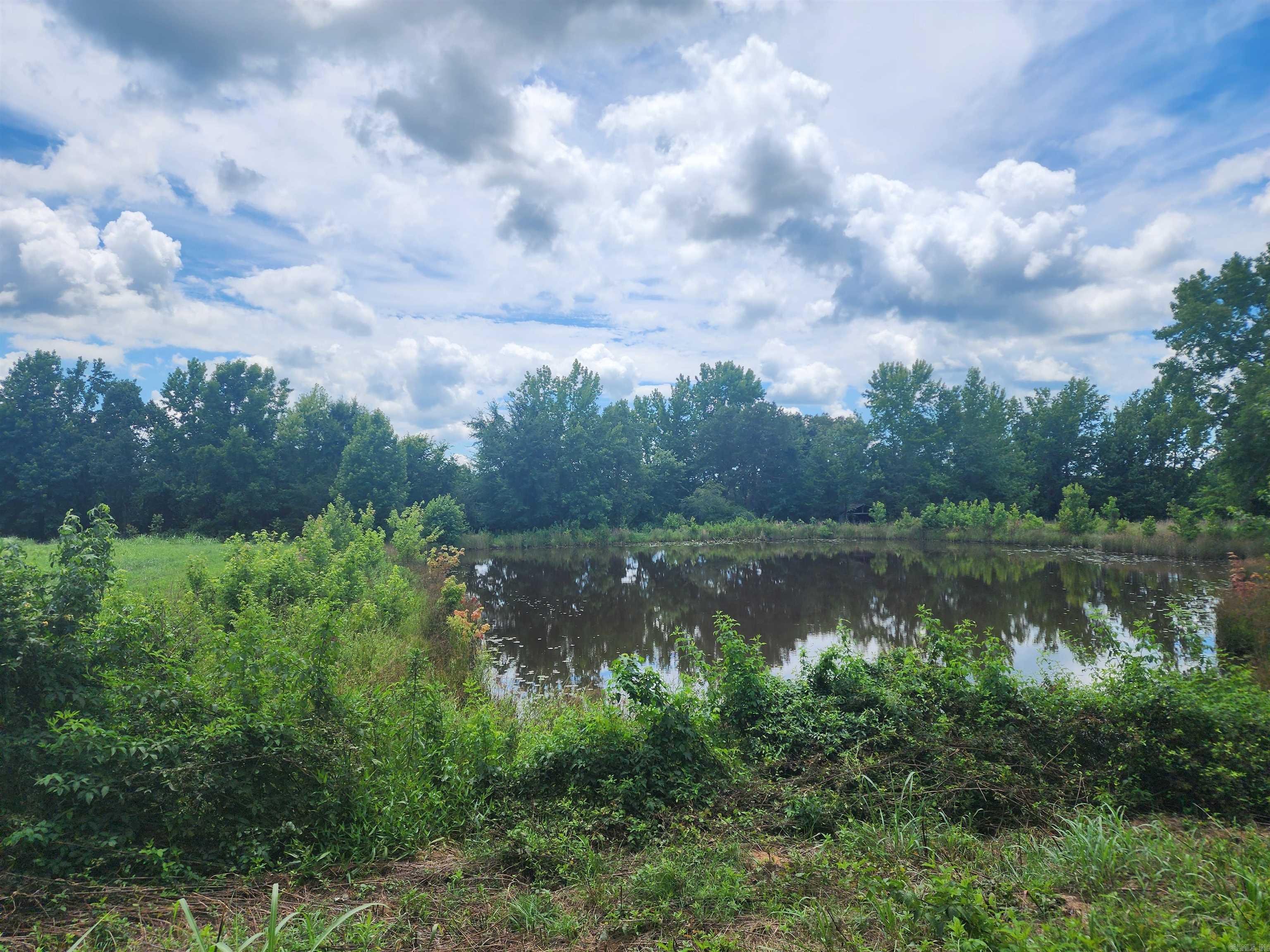  CR 4410  Clarksville, AR