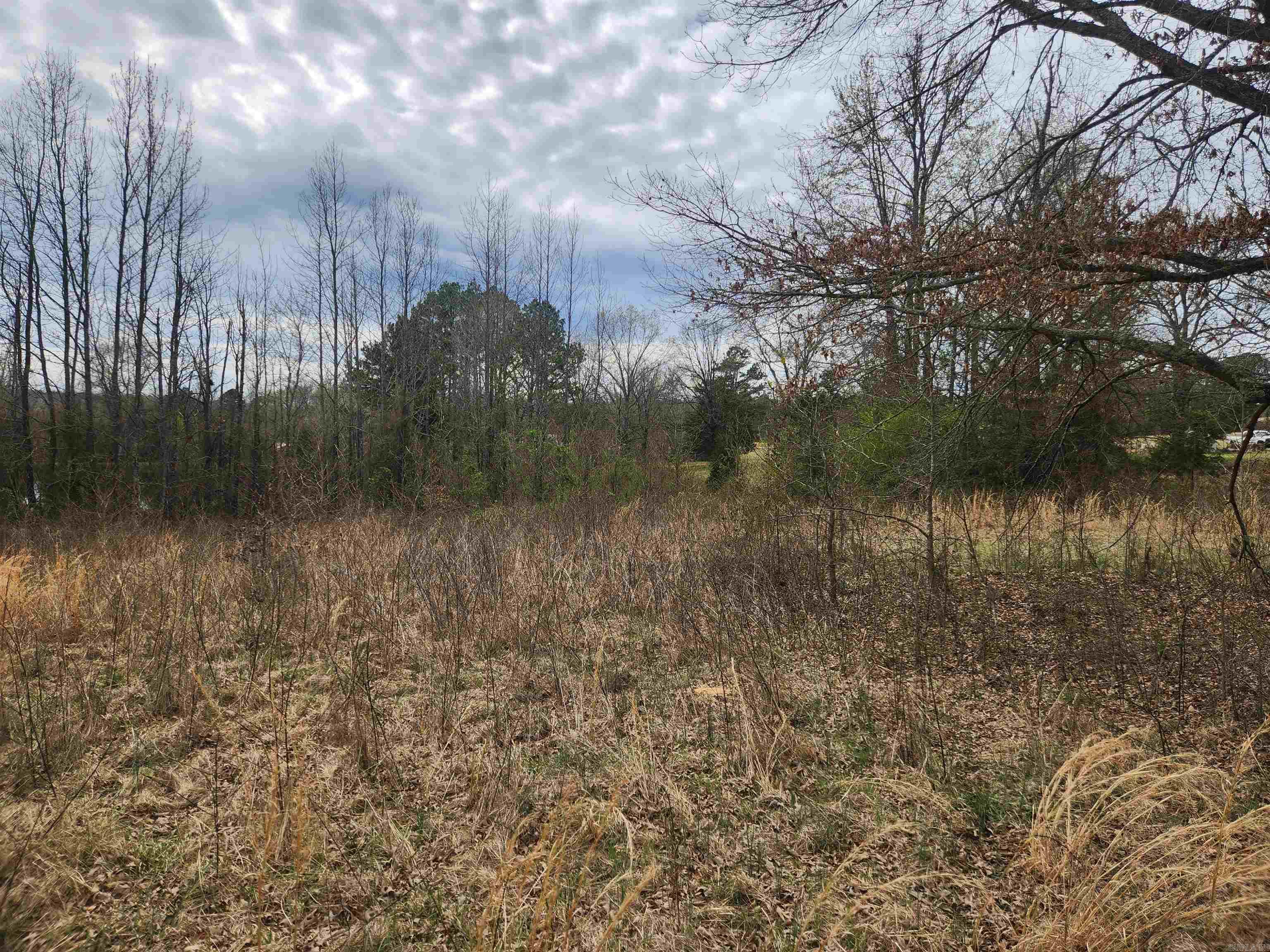   CR 4410  Clarksville, AR