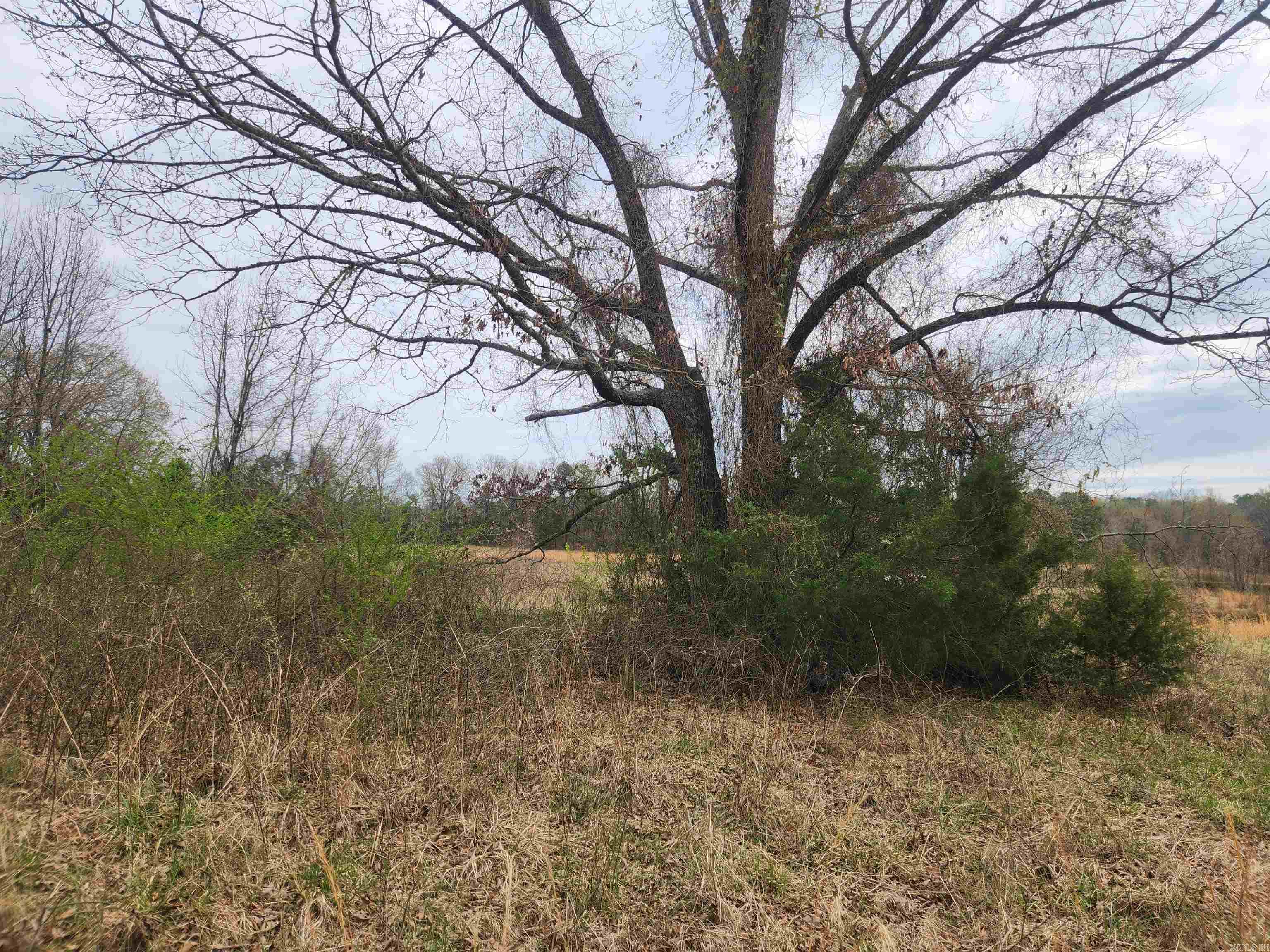   CR 4410  Clarksville, AR