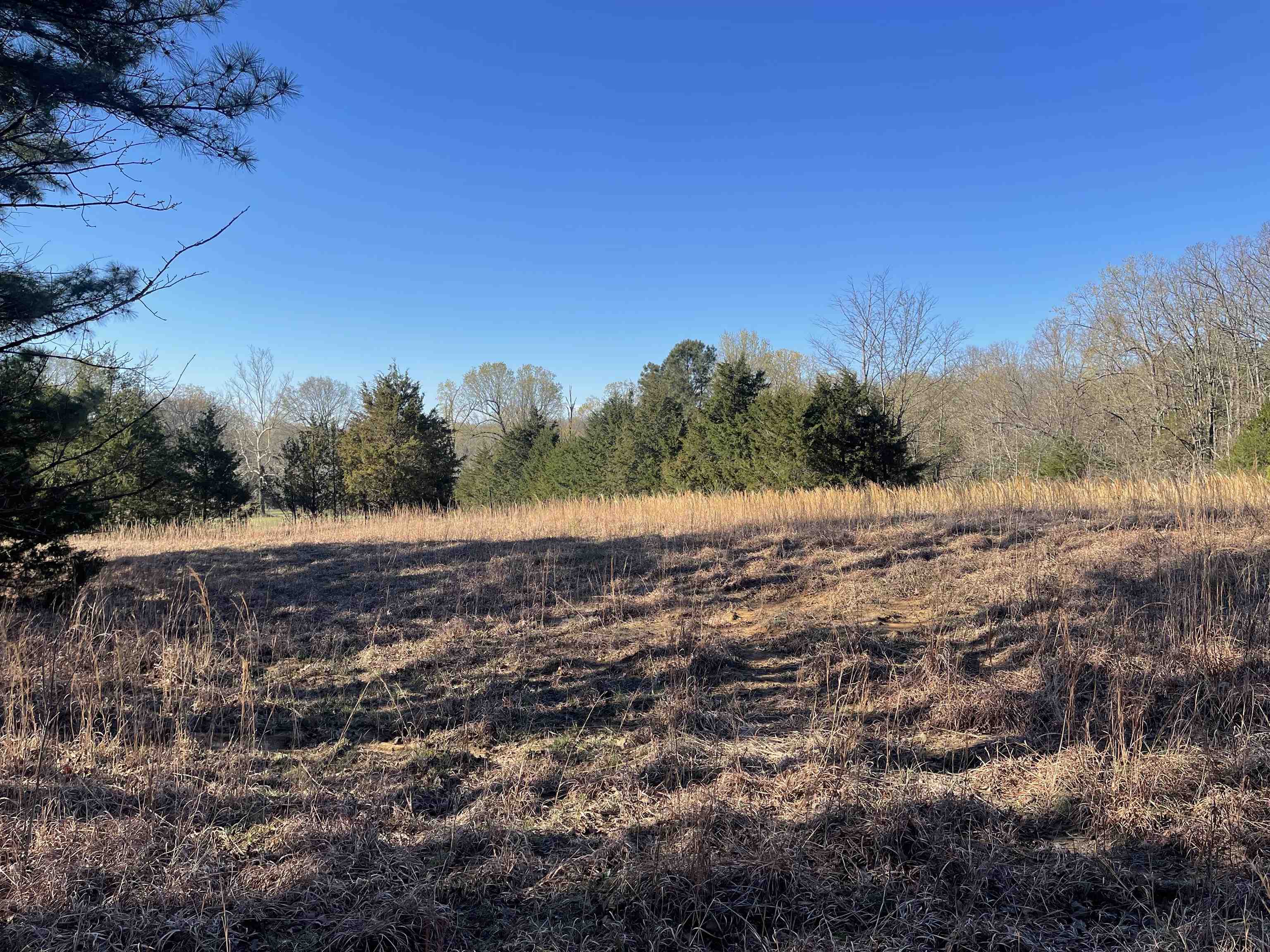 95  Hwy 117 Spur  Powhatan, AR