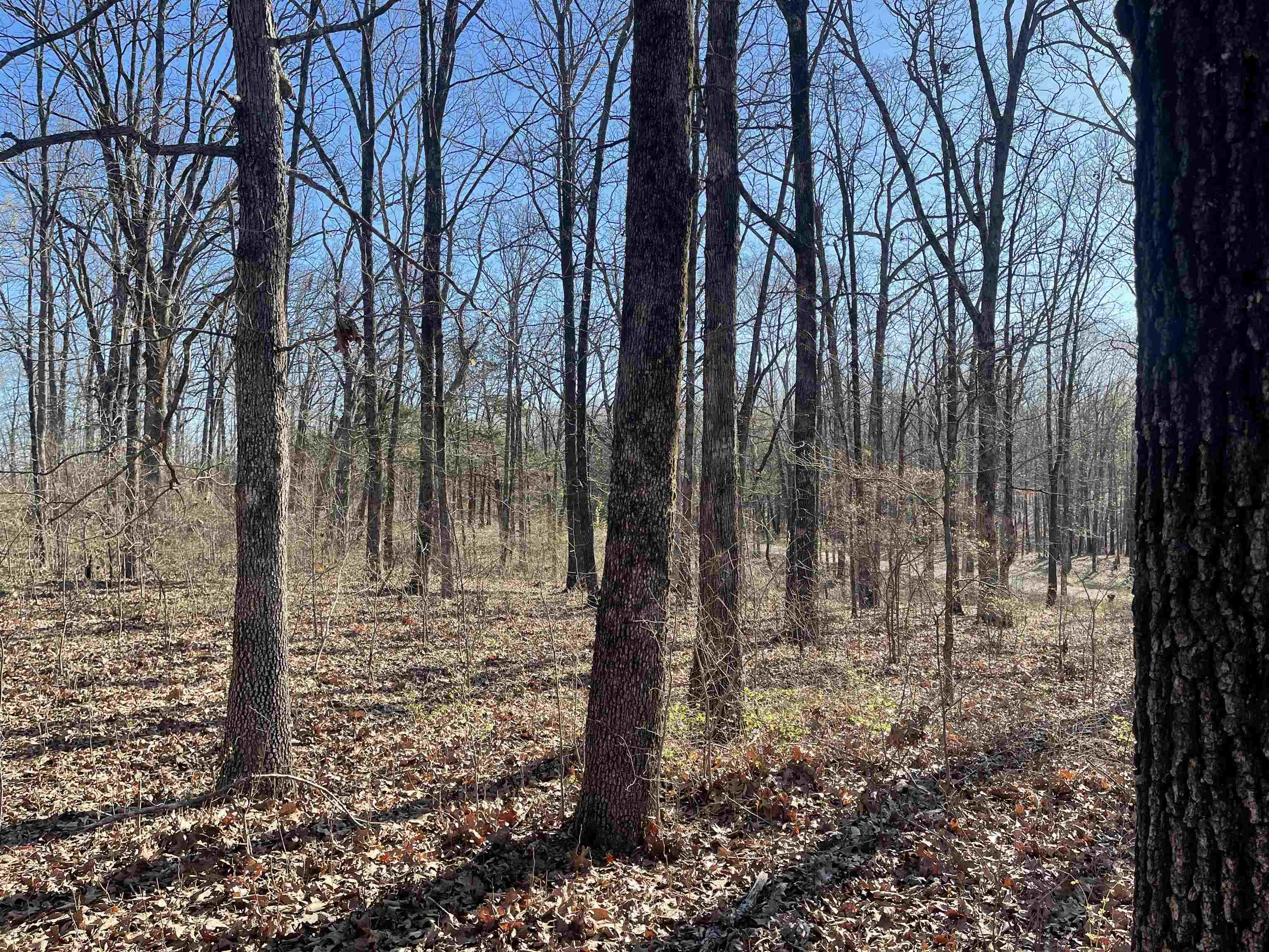 95  Hwy 117 Spur  Powhatan, AR
